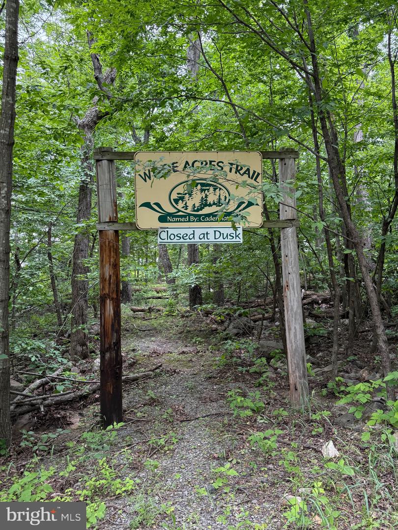 LOT 1 CROW DR, WINCHESTER, Virginia 22602, ,Land,For sale,LOT 1 CROW DR,VAFV2034444 MLS # VAFV2034444