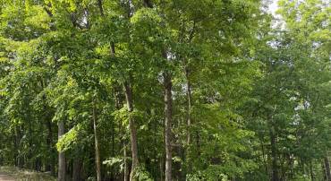LOT 1 CROW DR, WINCHESTER, Virginia 22602, ,Land,For sale,LOT 1 CROW DR,VAFV2034444 MLS # VAFV2034444