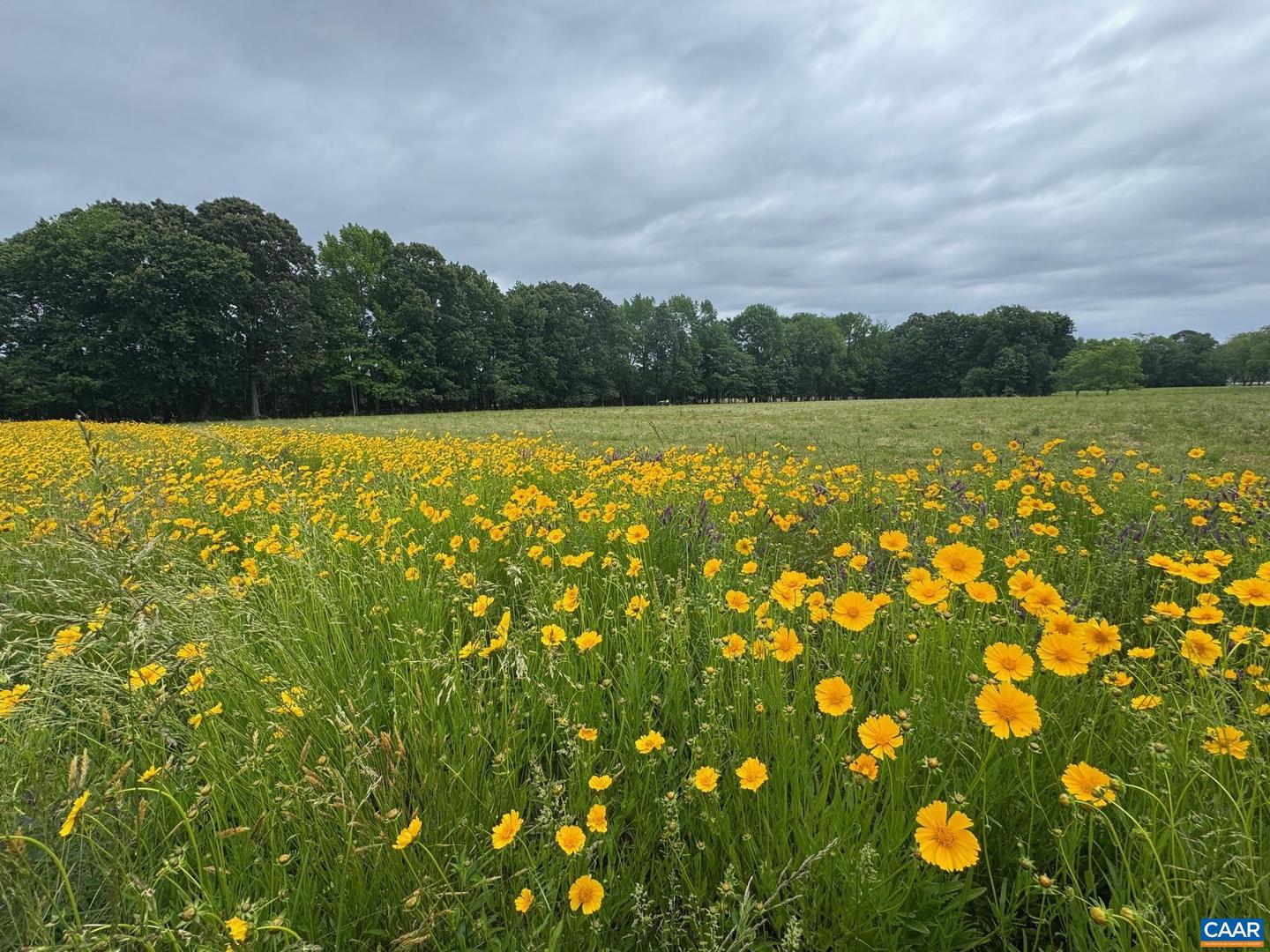 TBD PECAN LN, CARDINAL, Virginia 23025, ,Land,For sale,TBD PECAN LN,665003 MLS # 665003