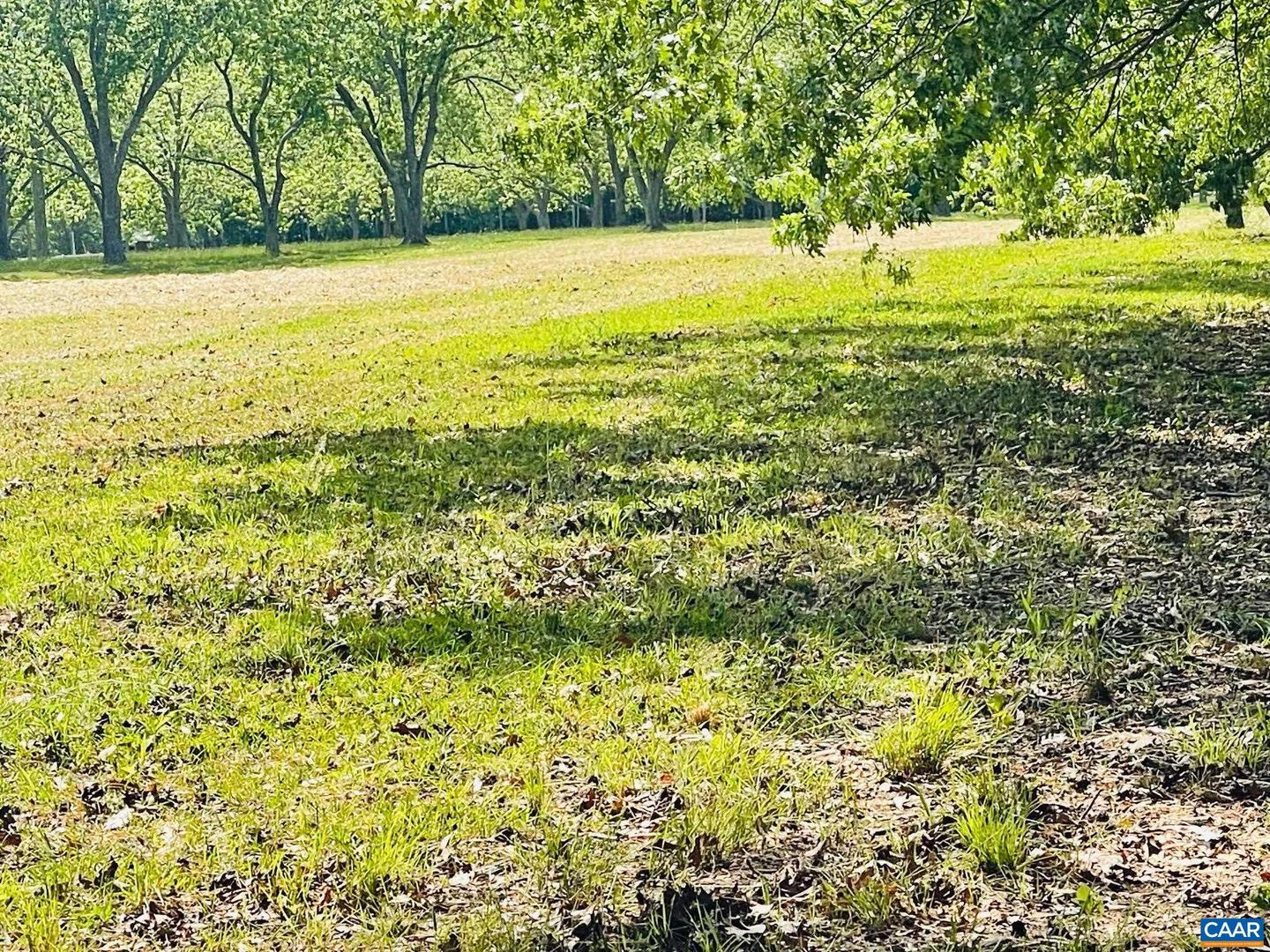TBD PECAN LN, CARDINAL, Virginia 23025, ,Land,For sale,TBD PECAN LN,665003 MLS # 665003
