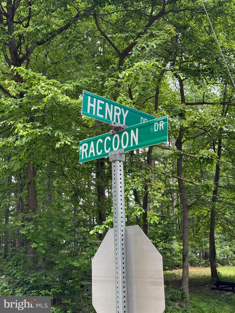 LOT 12 RACCOON DRIVE, WINCHESTER, Virginia 22602, ,Land,For sale,LOT 12 RACCOON DRIVE,VAFV2034450 MLS # VAFV2034450