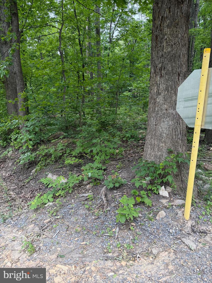 LOT 12 RACCOON DRIVE, WINCHESTER, Virginia 22602, ,Land,For sale,LOT 12 RACCOON DRIVE,VAFV2034450 MLS # VAFV2034450