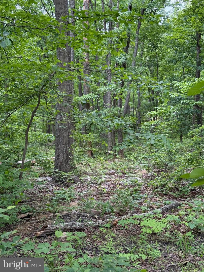LOT 12 RACCOON DRIVE, WINCHESTER, Virginia 22602, ,Land,For sale,LOT 12 RACCOON DRIVE,VAFV2034450 MLS # VAFV2034450