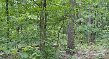 LOT 12 RACCOON DRIVE, WINCHESTER, Virginia 22602, ,Land,For sale,LOT 12 RACCOON DRIVE,VAFV2034450 MLS # VAFV2034450