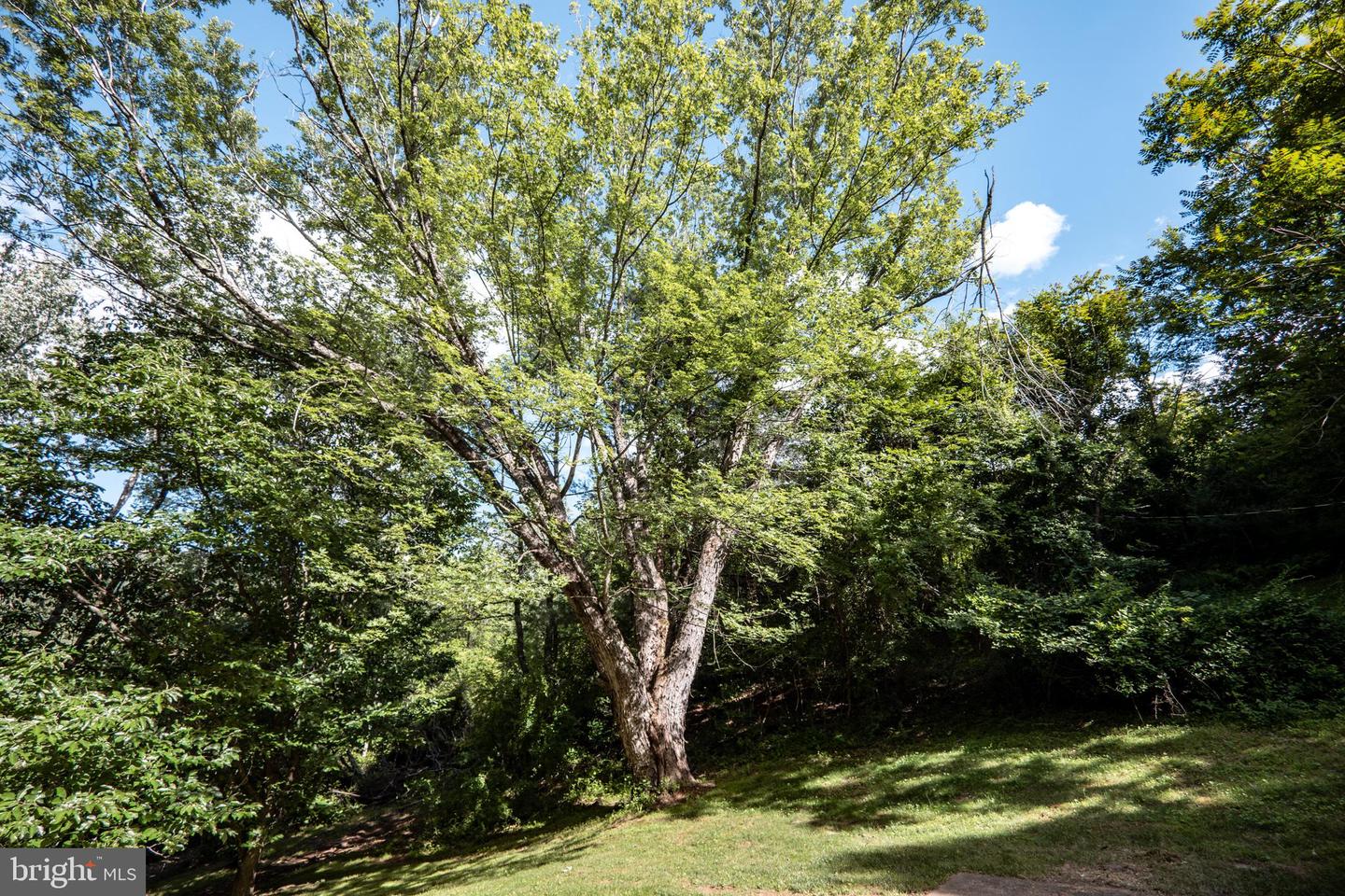 60 MOUNTAIN BREEZE LN, SYRIA, Virginia 22743, 5 Bedrooms Bedrooms, ,2 BathroomsBathrooms,Residential,For sale,60 MOUNTAIN BREEZE LN,VAMA2002242 MLS # VAMA2002242