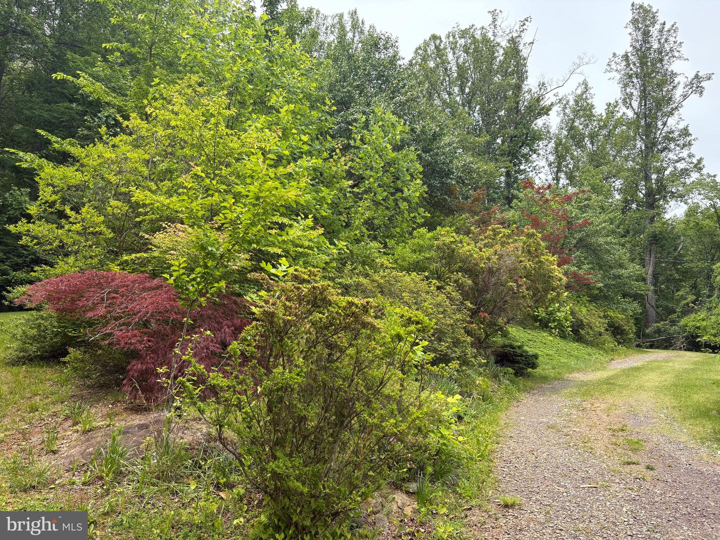 60 MOUNTAIN BREEZE LN, SYRIA, Virginia 22743, 5 Bedrooms Bedrooms, ,2 BathroomsBathrooms,Residential,For sale,60 MOUNTAIN BREEZE LN,VAMA2002242 MLS # VAMA2002242