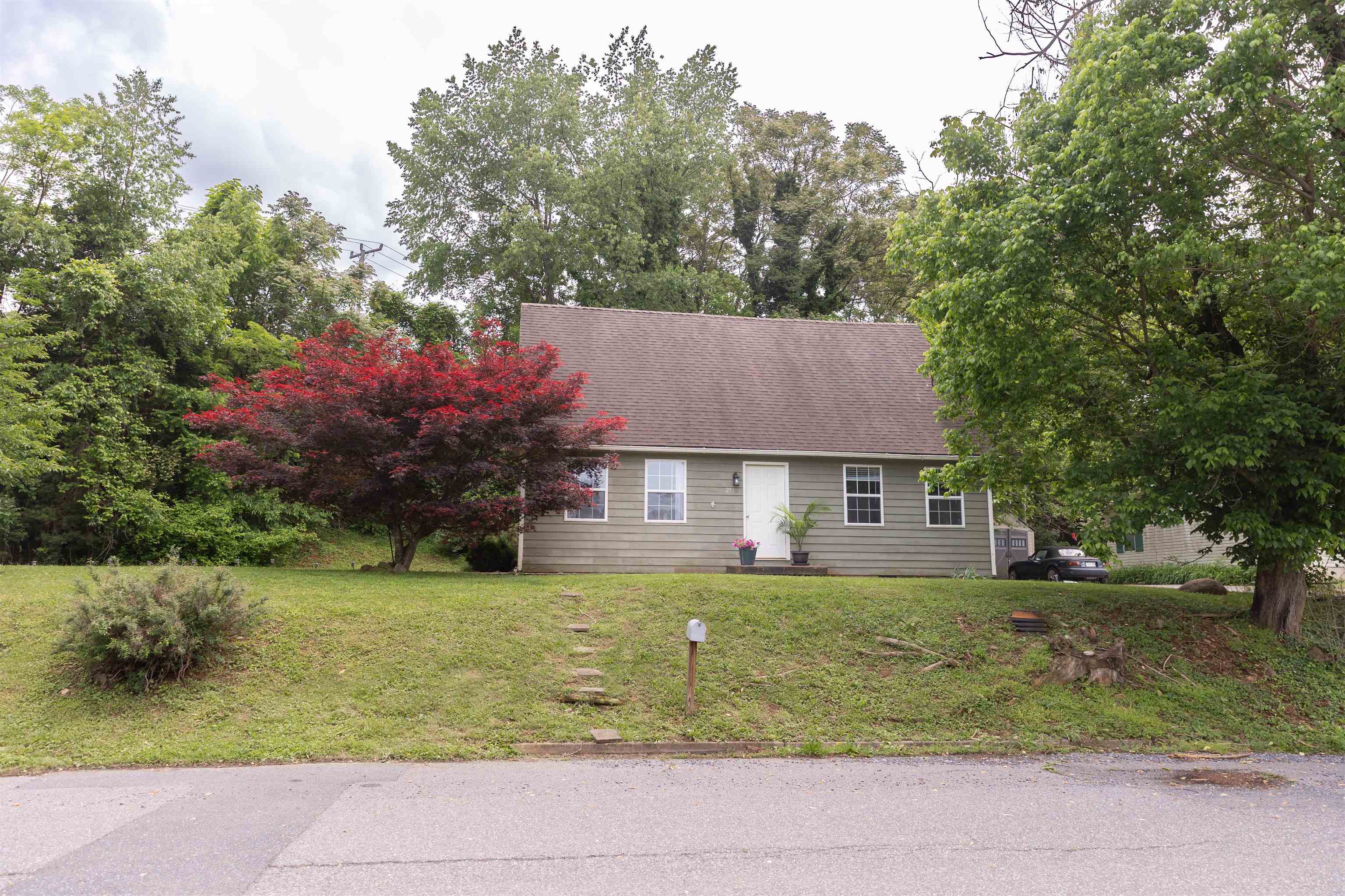 256 E 28TH ST, BUENA VISTA, Virginia 24416, 3 Bedrooms Bedrooms, ,2 BathroomsBathrooms,Residential,256 E 28TH ST,665004 MLS # 665004