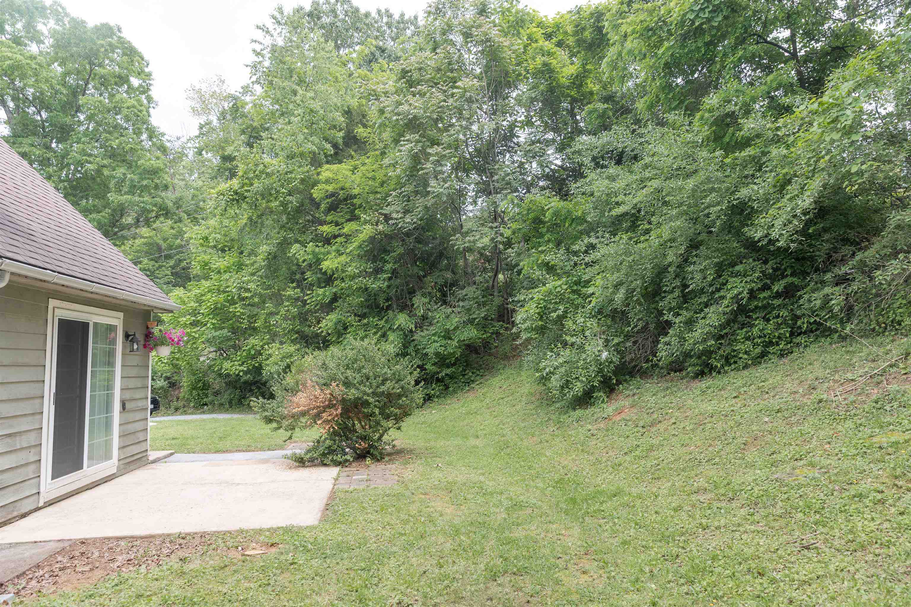 256 E 28TH ST, BUENA VISTA, Virginia 24416, 3 Bedrooms Bedrooms, ,2 BathroomsBathrooms,Residential,256 E 28TH ST,665004 MLS # 665004