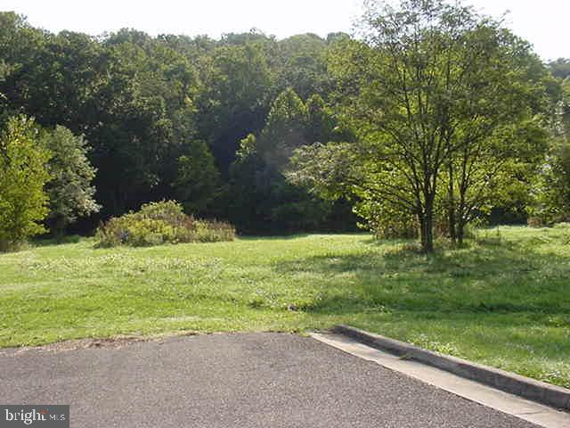 1743 & 1759 DISMAL HOLLOW RD, FRONT ROYAL, Virginia 22630, ,Land,For sale,1743 & 1759 DISMAL HOLLOW RD,VAWR2011290 MLS # VAWR2011290
