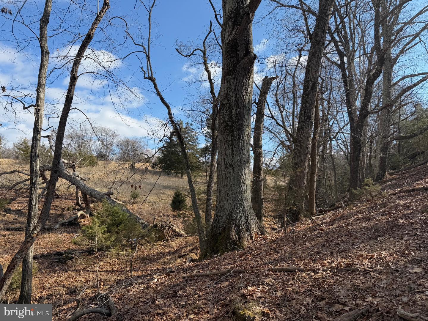 1 DEPOT RD TRACT 2, RUSTBURG, Virginia 24588, ,Land,For sale,1 DEPOT RD TRACT 2,VACP2000062 MLS # VACP2000062