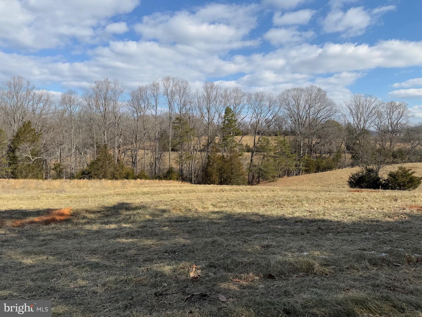 1 DEPOT RD TRACT 2, RUSTBURG, Virginia 24588, ,Land,For sale,1 DEPOT RD TRACT 2,VACP2000062 MLS # VACP2000062