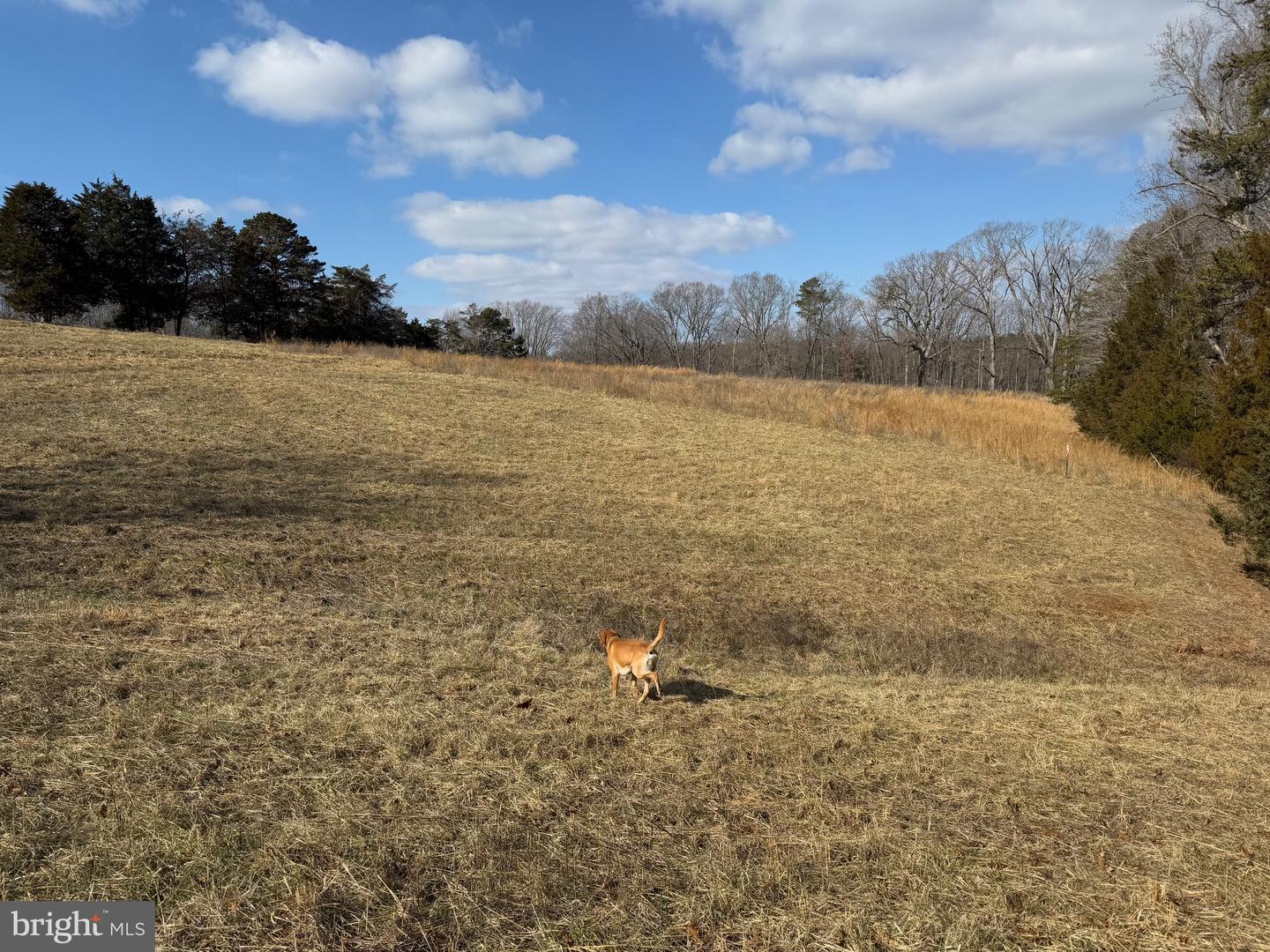 1 DEPOT RD TRACT 2, RUSTBURG, Virginia 24588, ,Land,For sale,1 DEPOT RD TRACT 2,VACP2000062 MLS # VACP2000062
