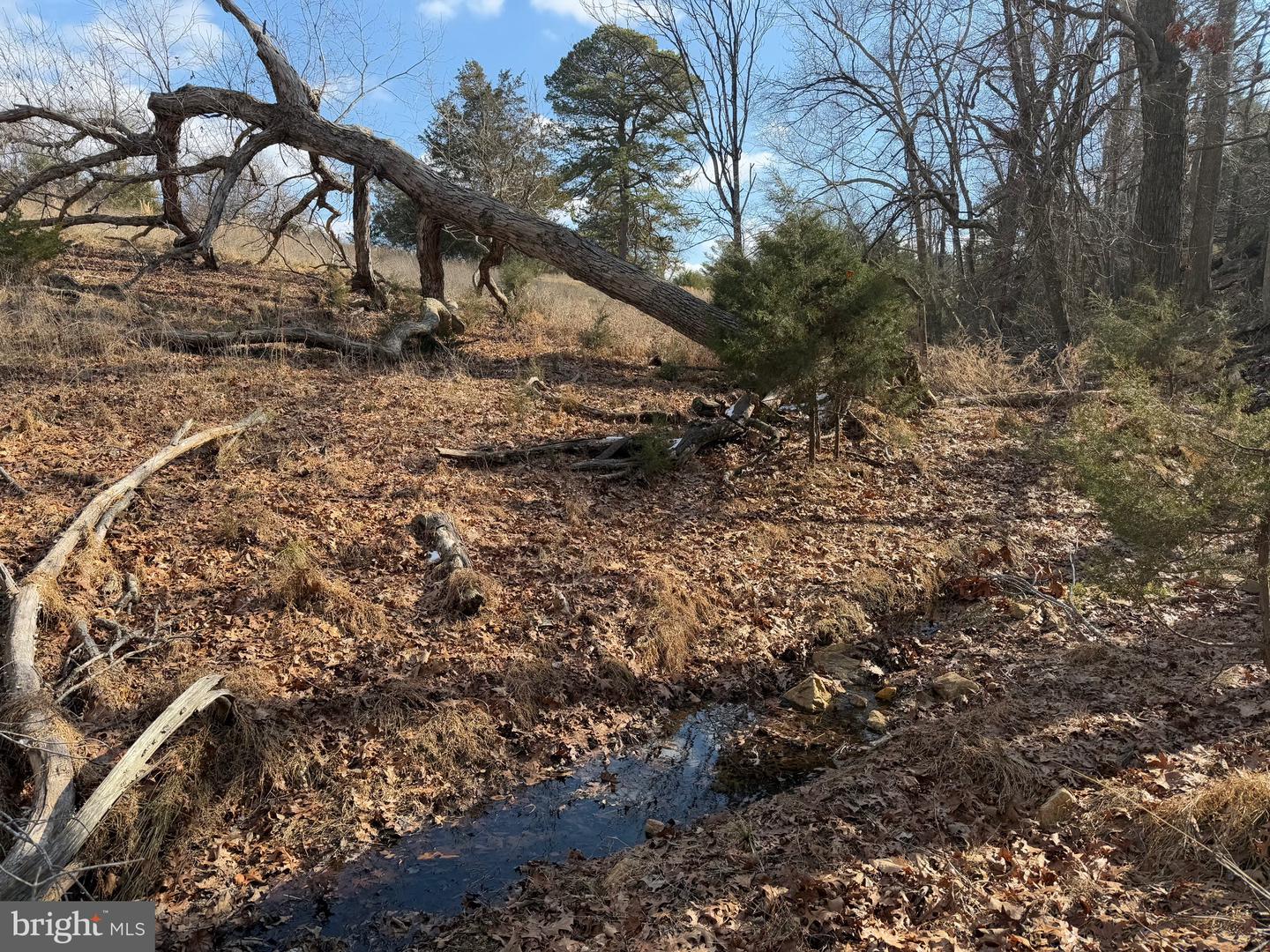 1 DEPOT RD TRACT 2, RUSTBURG, Virginia 24588, ,Land,For sale,1 DEPOT RD TRACT 2,VACP2000062 MLS # VACP2000062