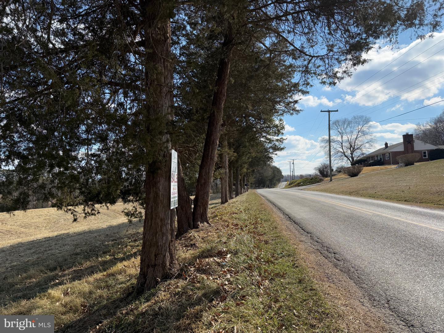 1 DEPOT RD TRACT 2, RUSTBURG, Virginia 24588, ,Land,For sale,1 DEPOT RD TRACT 2,VACP2000062 MLS # VACP2000062