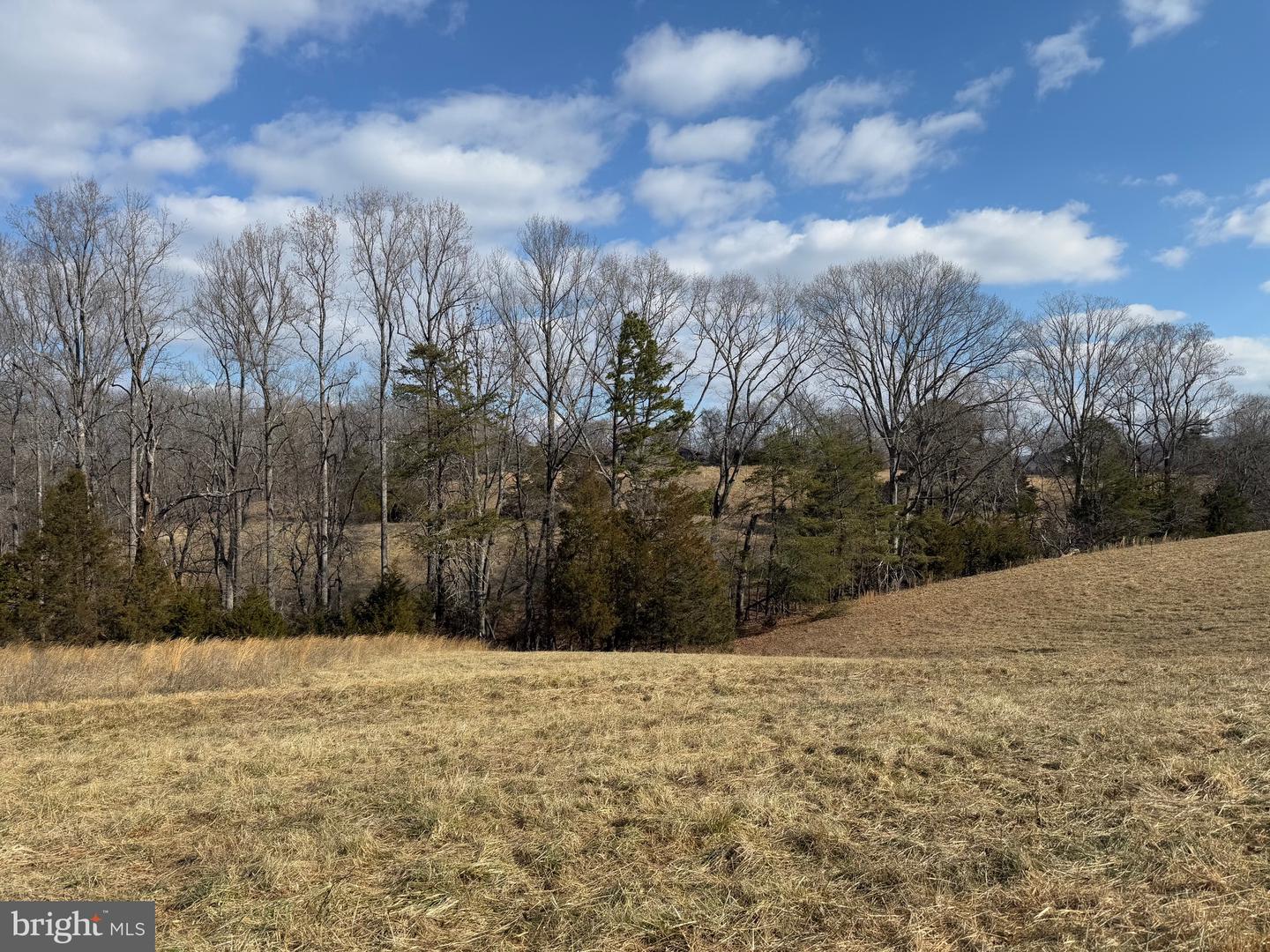 1 DEPOT RD TRACT 2, RUSTBURG, Virginia 24588, ,Land,For sale,1 DEPOT RD TRACT 2,VACP2000062 MLS # VACP2000062