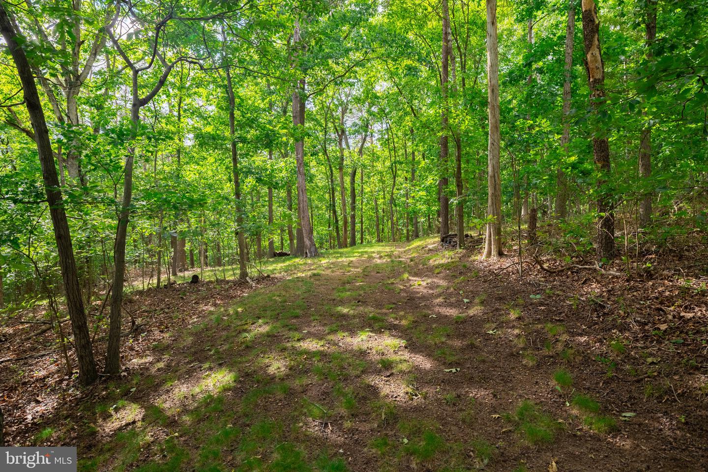 201 MOUNTAIN VIEW DR, LURAY, Virginia 22835, ,Land,For sale,201 MOUNTAIN VIEW DR,VAPA2004904 MLS # VAPA2004904