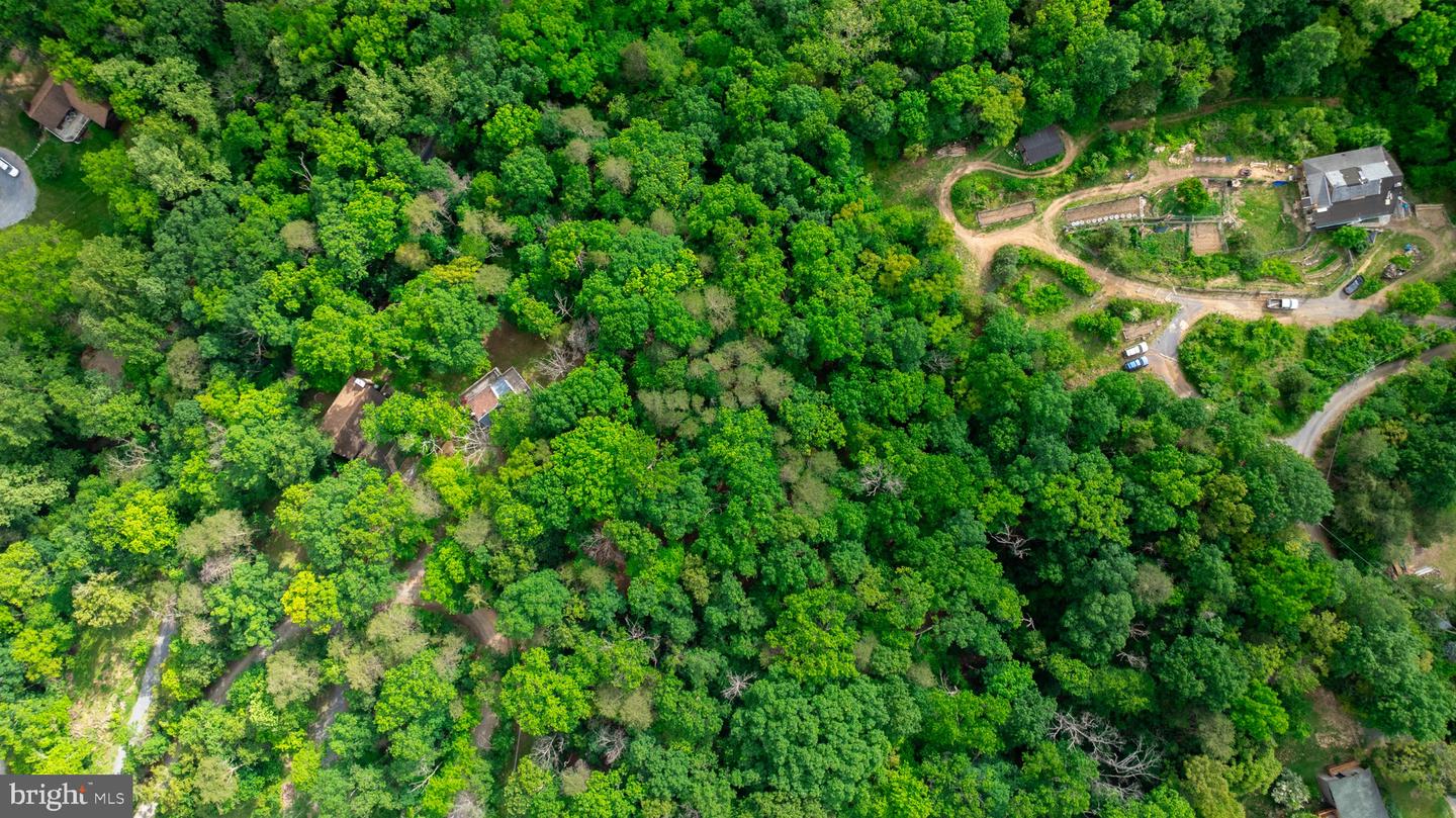 201 MOUNTAIN VIEW DR, LURAY, Virginia 22835, ,Land,For sale,201 MOUNTAIN VIEW DR,VAPA2004904 MLS # VAPA2004904