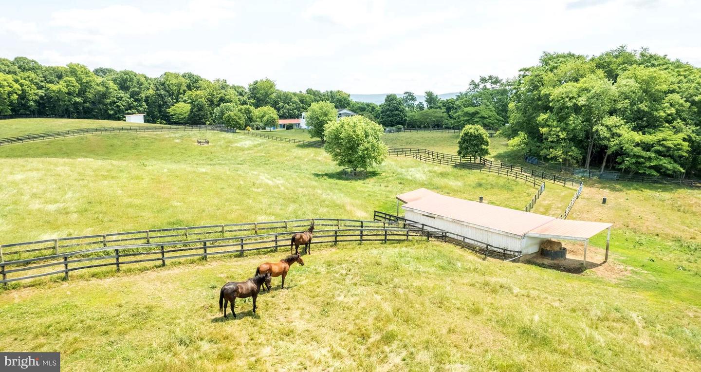 537 CANNON BALL RD, BERRYVILLE, Virginia 22611, 4 Bedrooms Bedrooms, ,3 BathroomsBathrooms,Residential,For sale,537 CANNON BALL RD,VACL2003666 MLS # VACL2003666