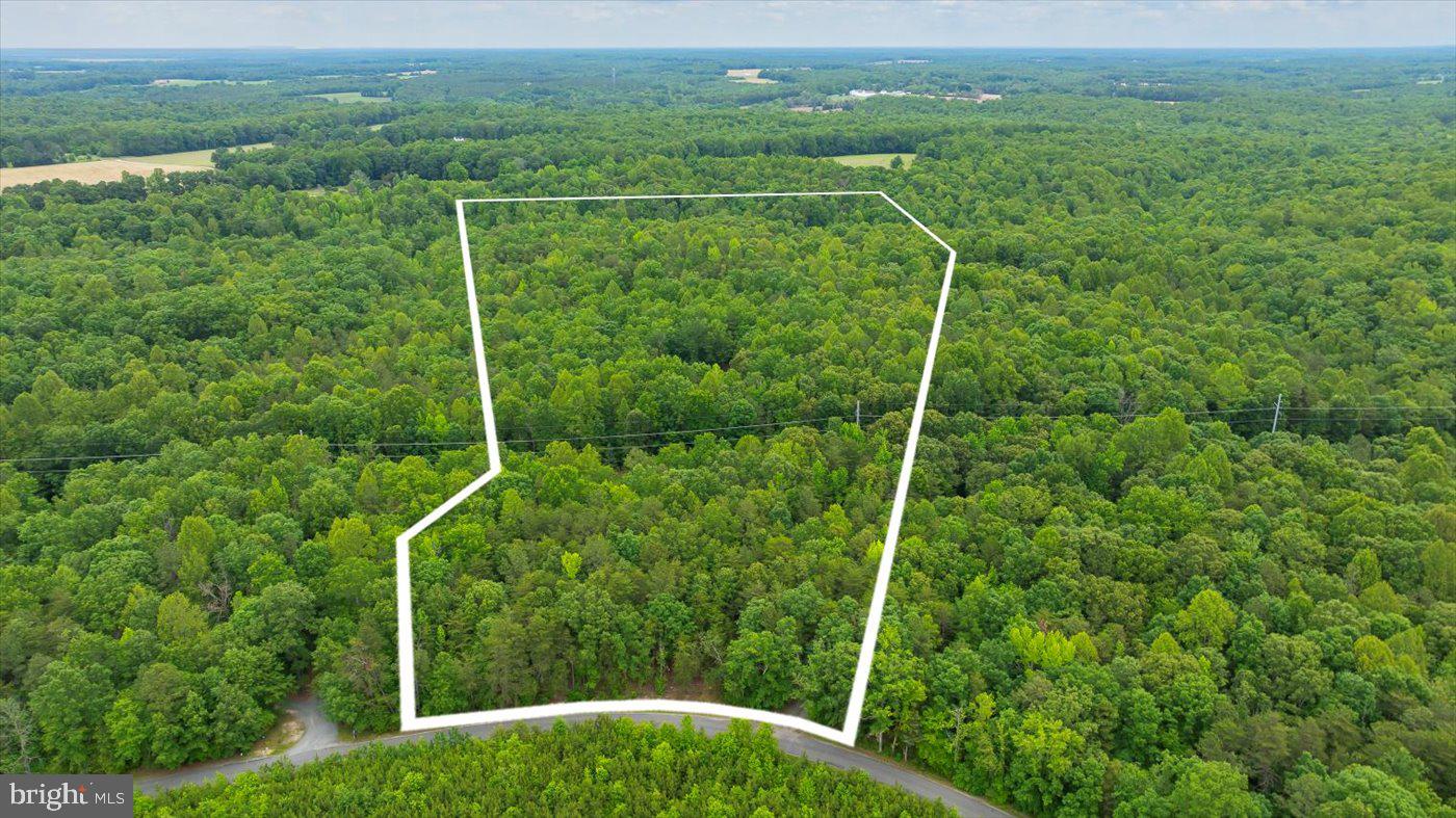 23115 MT CLOUD RD, BOWLING GREEN, Virginia 22427, 3 Bedrooms Bedrooms, ,2 BathroomsBathrooms,Residential,For sale,23115 MT CLOUD RD,VACV2008186 MLS # VACV2008186