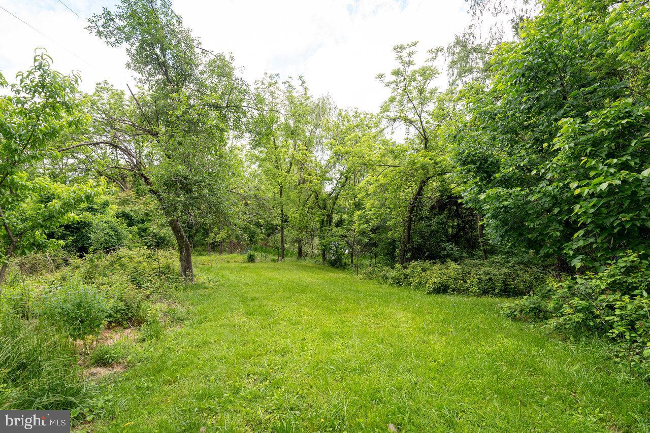 228 BLACK BEAR LN, STANLEY, Virginia 22851, 4 Bedrooms Bedrooms, ,2 BathroomsBathrooms,Residential,For sale,228 BLACK BEAR LN,VAPA2004948 MLS # VAPA2004948