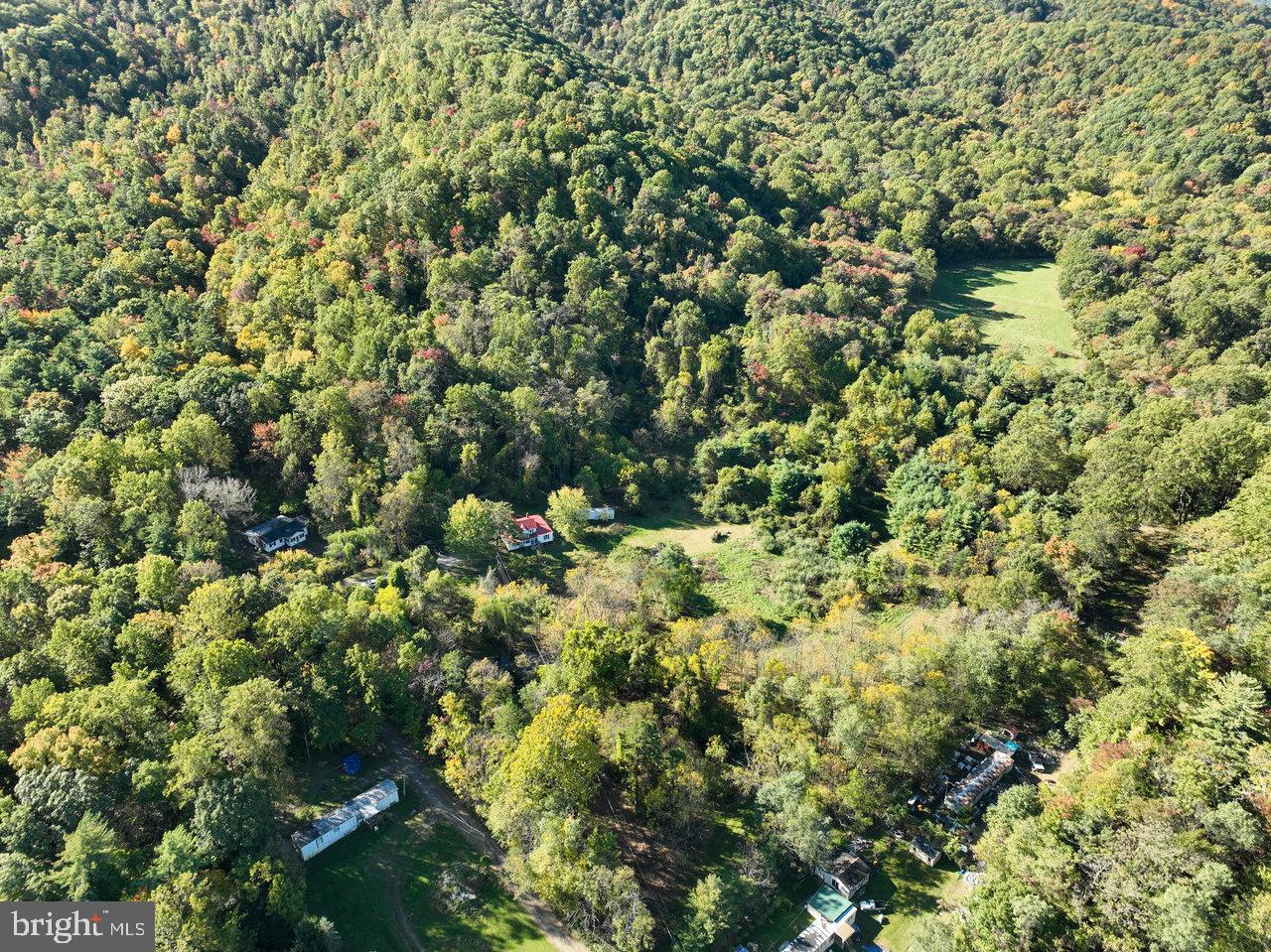 228 BLACK BEAR LN, STANLEY, Virginia 22851, 4 Bedrooms Bedrooms, ,2 BathroomsBathrooms,Residential,For sale,228 BLACK BEAR LN,VAPA2004948 MLS # VAPA2004948