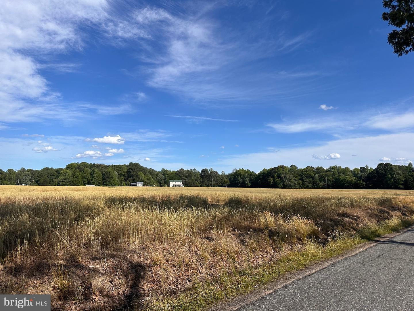 0 MT HOLLY RD, MONTROSS, Virginia 22520, ,Farm,For sale,0 MT HOLLY RD,VAWE2008956 MLS # VAWE2008956
