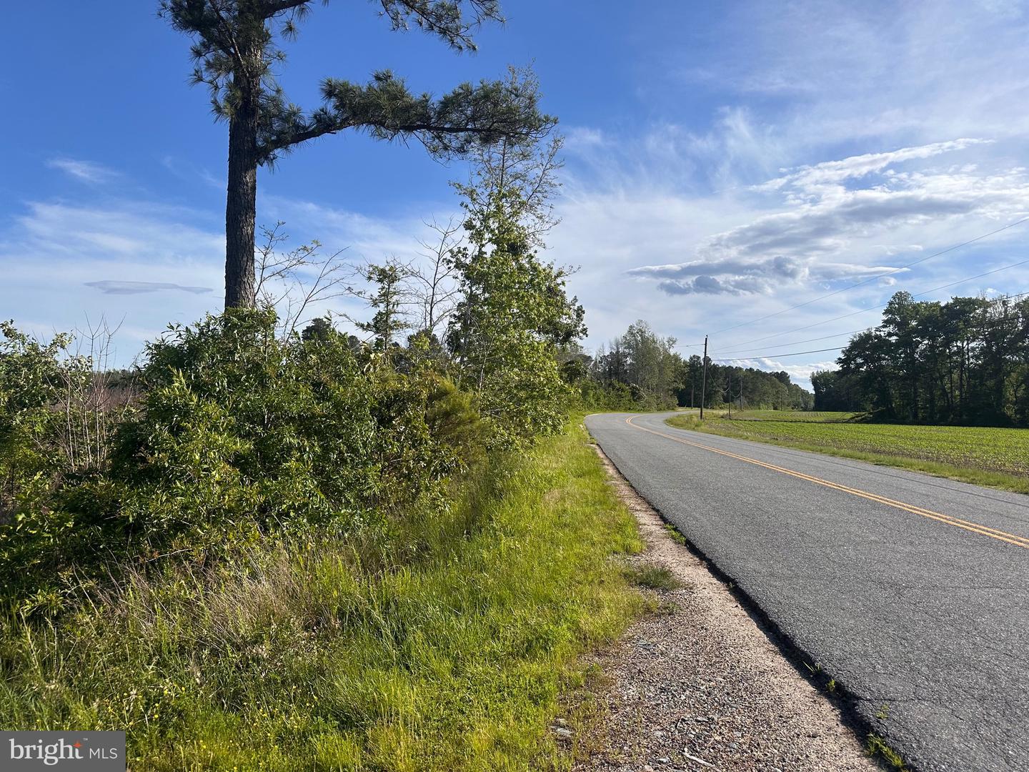 0 MT HOLLY RD, MONTROSS, Virginia 22520, ,Farm,For sale,0 MT HOLLY RD,VAWE2008956 MLS # VAWE2008956