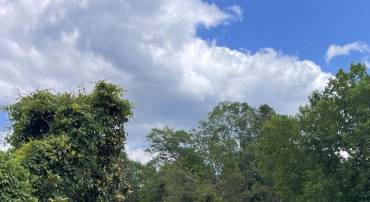 10605 BENCHMARK RD, FREDERICKSBURG, Virginia 22408, ,Land,For sale,10605 BENCHMARK RD,VASP2033480 MLS # VASP2033480