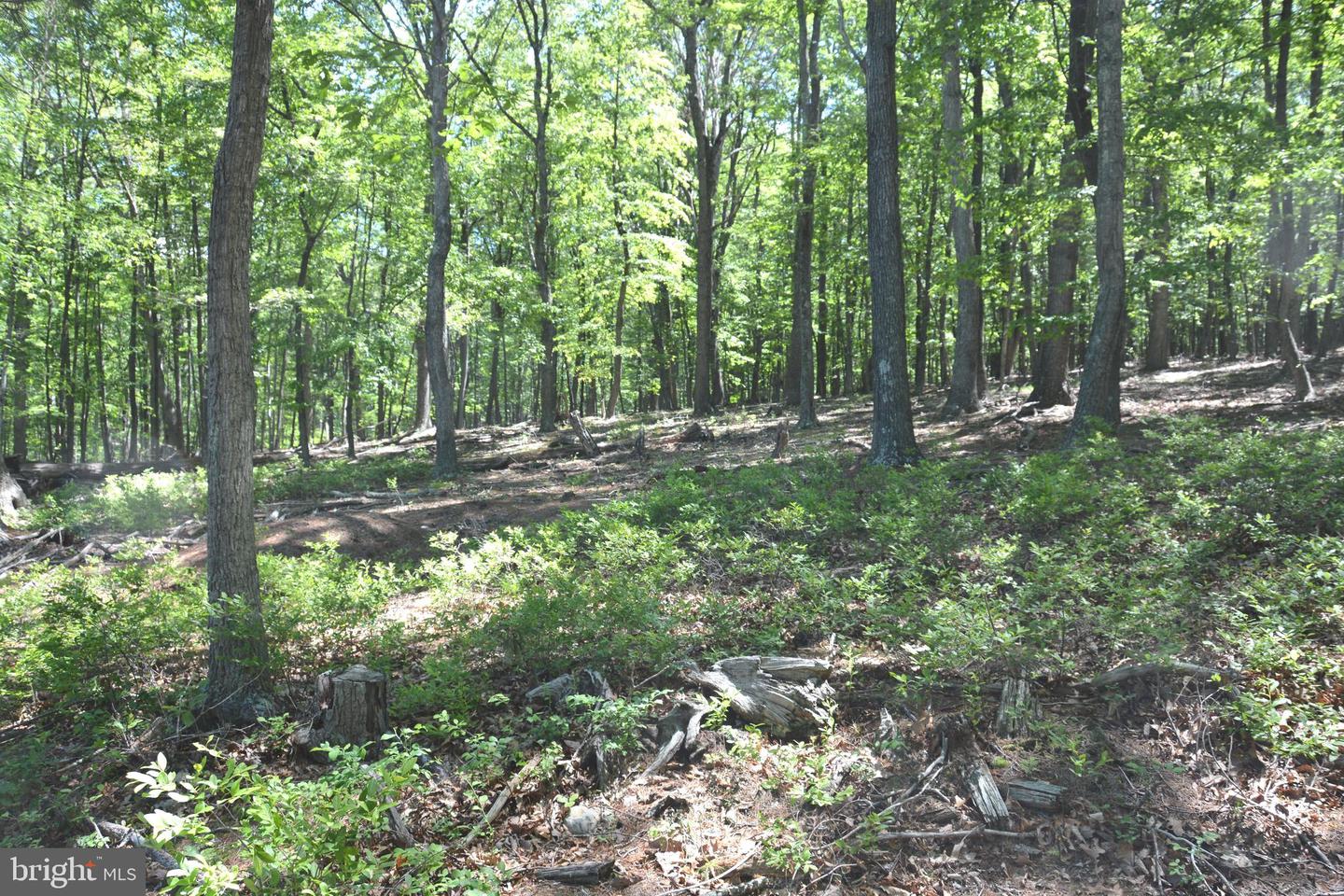 FILES CHAPEL DR, WINCHESTER, Virginia 22603, ,Land,For sale,FILES CHAPEL DR,VAFV2034474 MLS # VAFV2034474