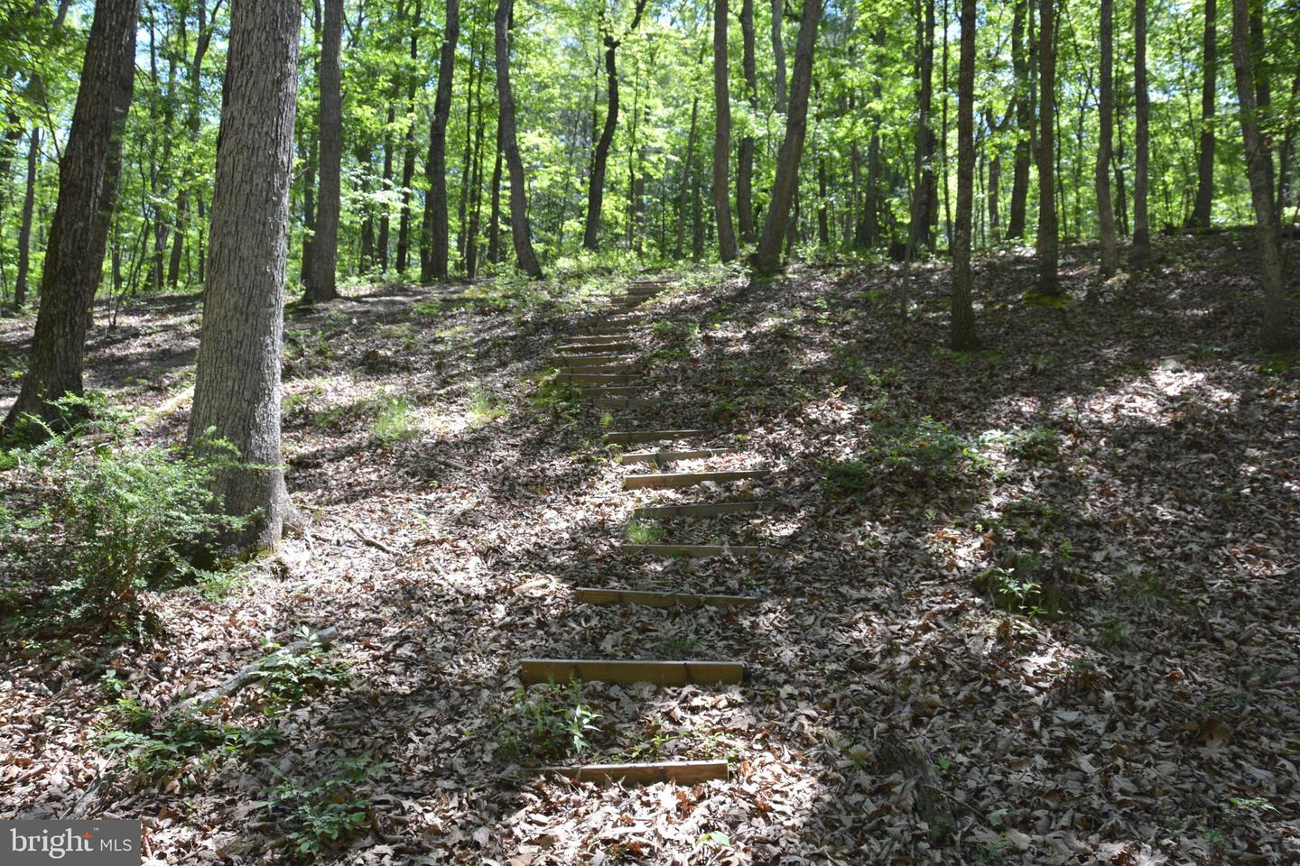 FILES CHAPEL DR, WINCHESTER, Virginia 22603, ,Land,For sale,FILES CHAPEL DR,VAFV2034474 MLS # VAFV2034474