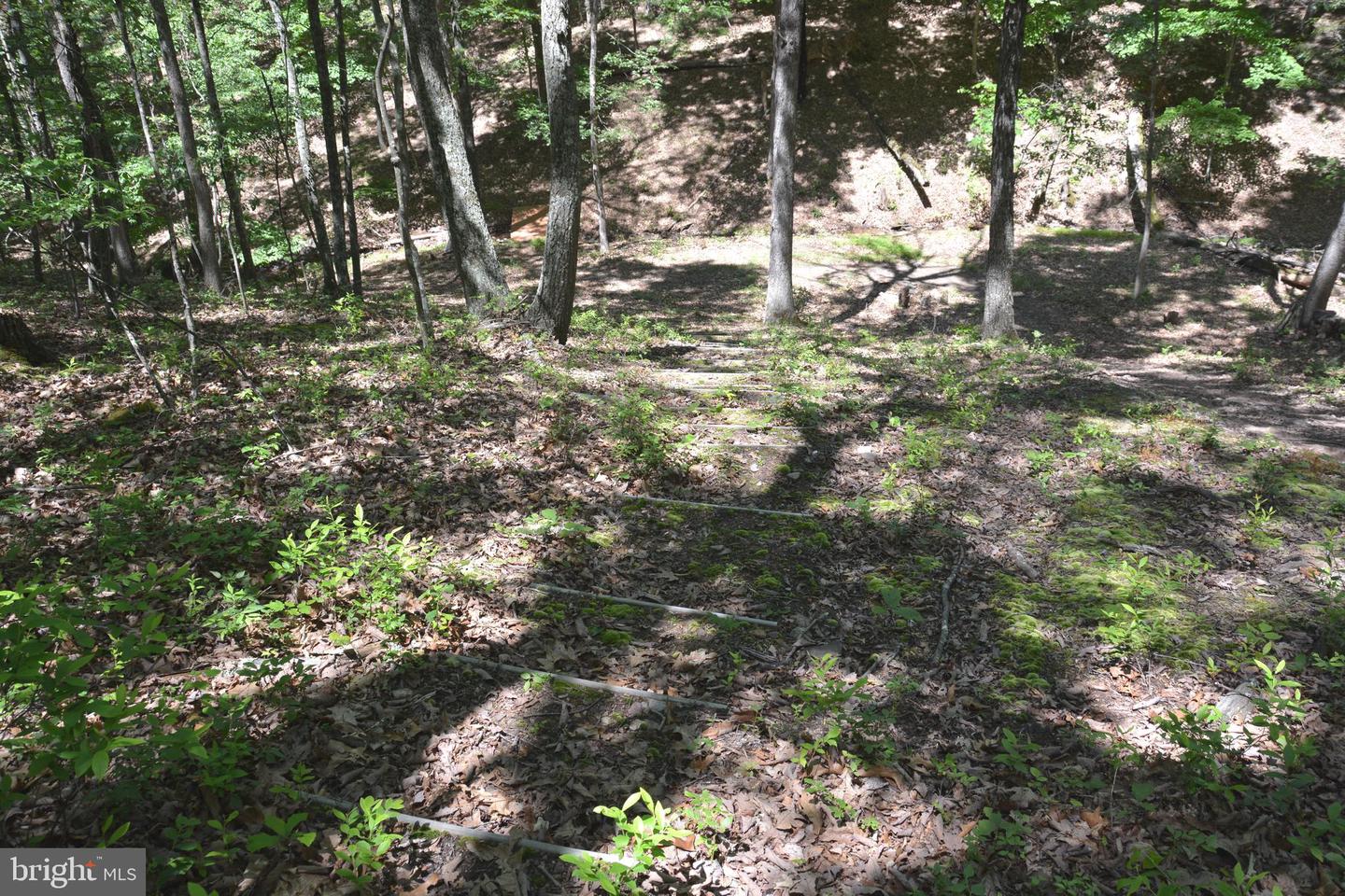 FILES CHAPEL DR, WINCHESTER, Virginia 22603, ,Land,For sale,FILES CHAPEL DR,VAFV2034474 MLS # VAFV2034474