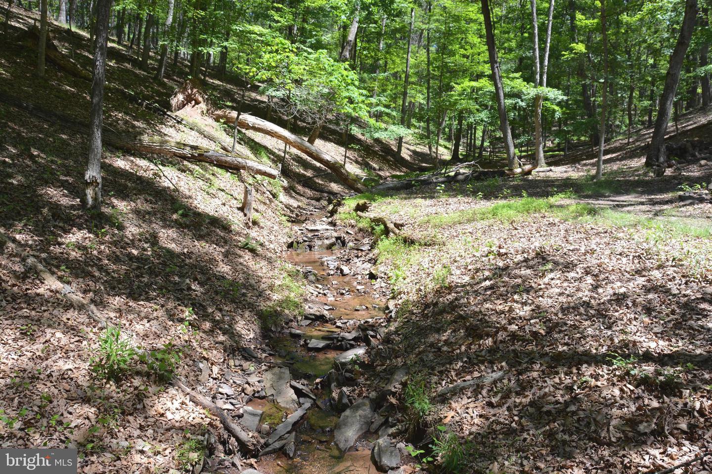 FILES CHAPEL DR, WINCHESTER, Virginia 22603, ,Land,For sale,FILES CHAPEL DR,VAFV2034474 MLS # VAFV2034474