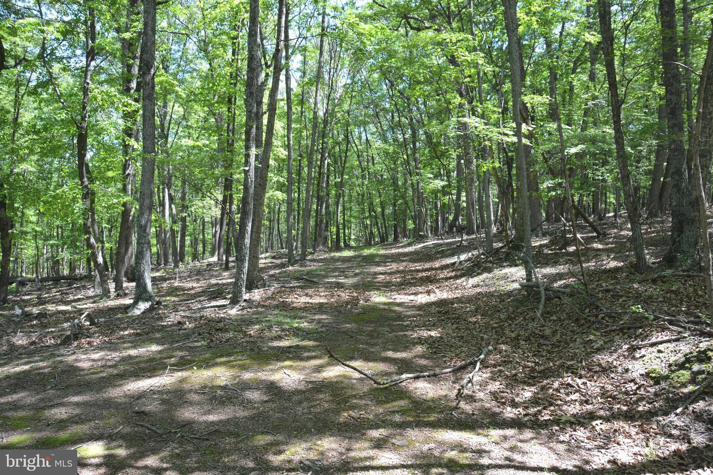 FILES CHAPEL DR, WINCHESTER, Virginia 22603, ,Land,For sale,FILES CHAPEL DR,VAFV2034474 MLS # VAFV2034474