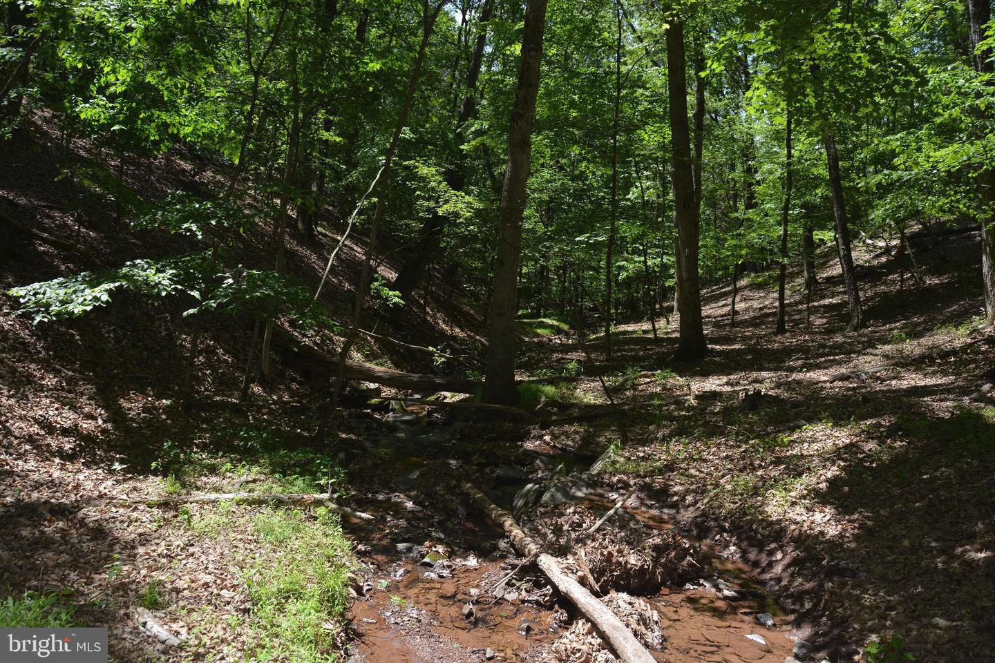 FILES CHAPEL DR, WINCHESTER, Virginia 22603, ,Land,For sale,FILES CHAPEL DR,VAFV2034474 MLS # VAFV2034474