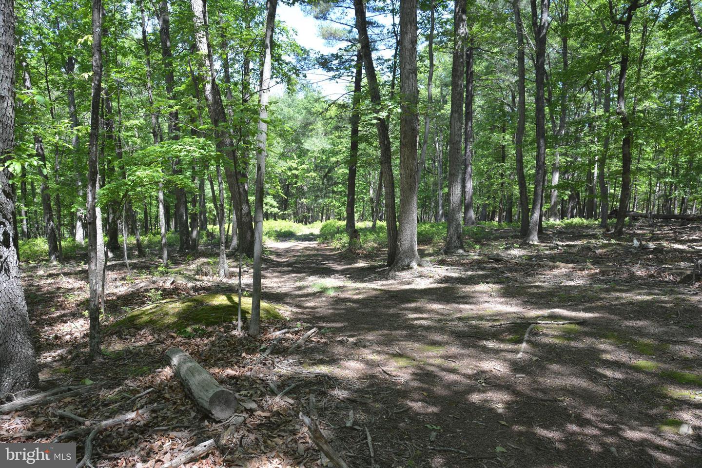 FILES CHAPEL DR, WINCHESTER, Virginia 22603, ,Land,For sale,FILES CHAPEL DR,VAFV2034474 MLS # VAFV2034474