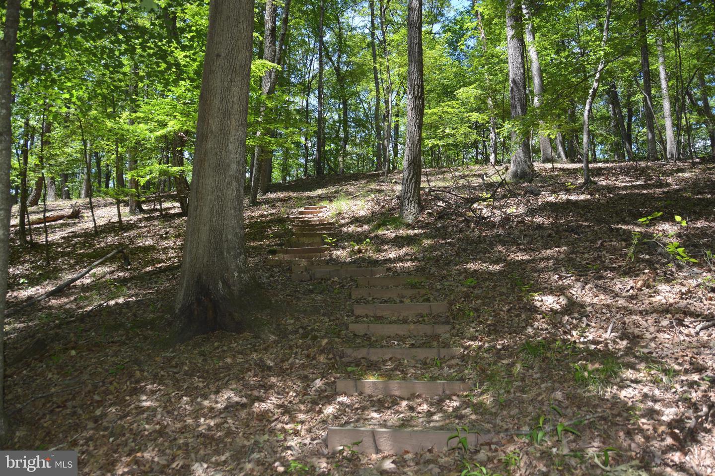 FILES CHAPEL DR, WINCHESTER, Virginia 22603, ,Land,For sale,FILES CHAPEL DR,VAFV2034474 MLS # VAFV2034474