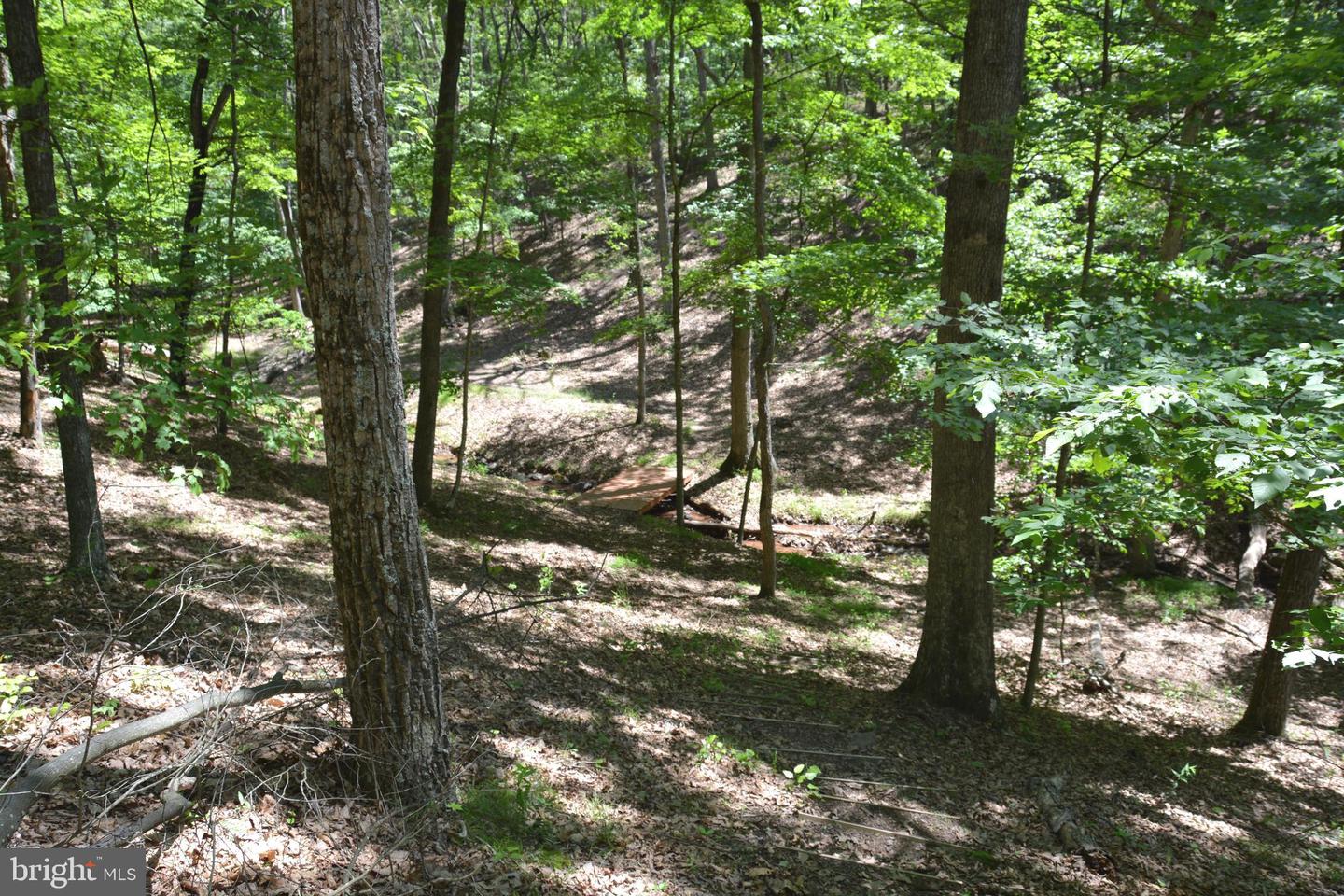 FILES CHAPEL DR, WINCHESTER, Virginia 22603, ,Land,For sale,FILES CHAPEL DR,VAFV2034474 MLS # VAFV2034474