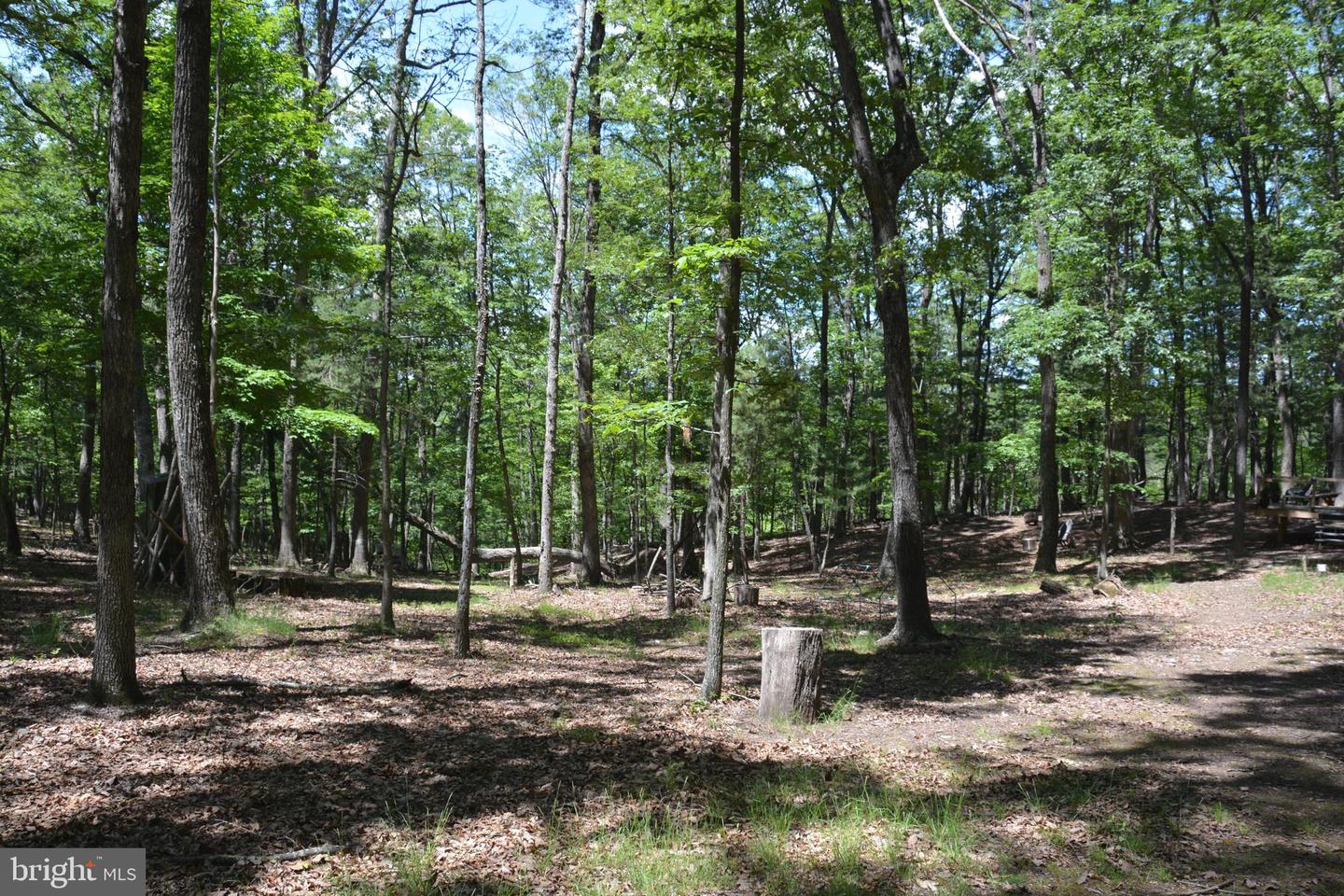 FILES CHAPEL DR, WINCHESTER, Virginia 22603, ,Land,For sale,FILES CHAPEL DR,VAFV2034474 MLS # VAFV2034474
