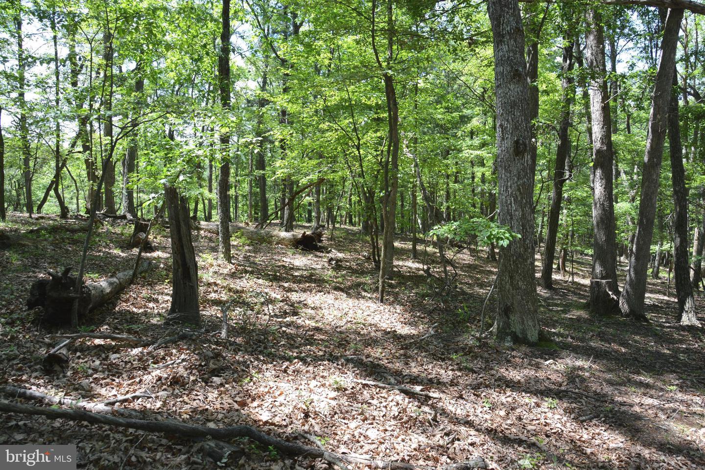 FILES CHAPEL DR, WINCHESTER, Virginia 22603, ,Land,For sale,FILES CHAPEL DR,VAFV2034474 MLS # VAFV2034474