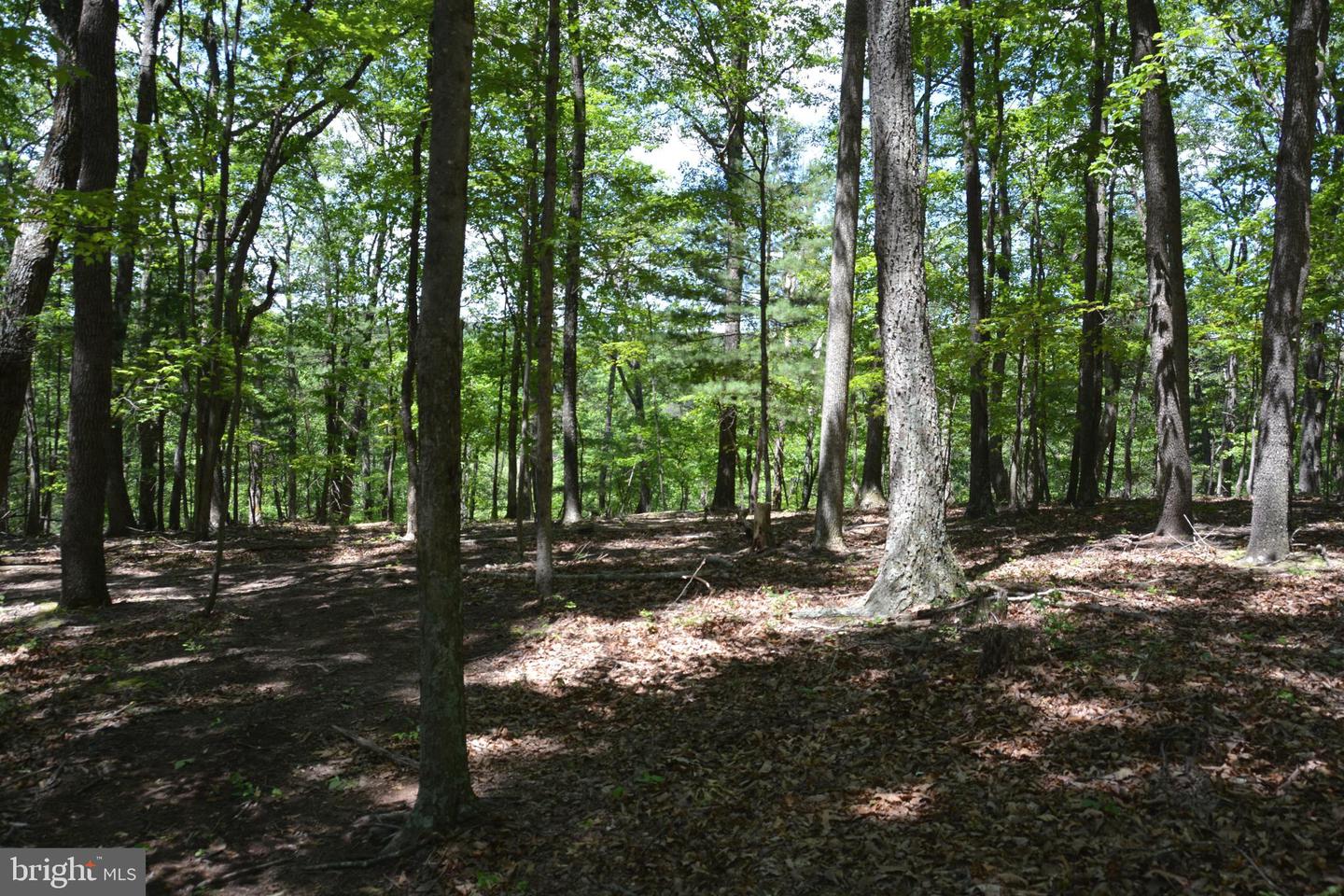 FILES CHAPEL DR, WINCHESTER, Virginia 22603, ,Land,For sale,FILES CHAPEL DR,VAFV2034474 MLS # VAFV2034474