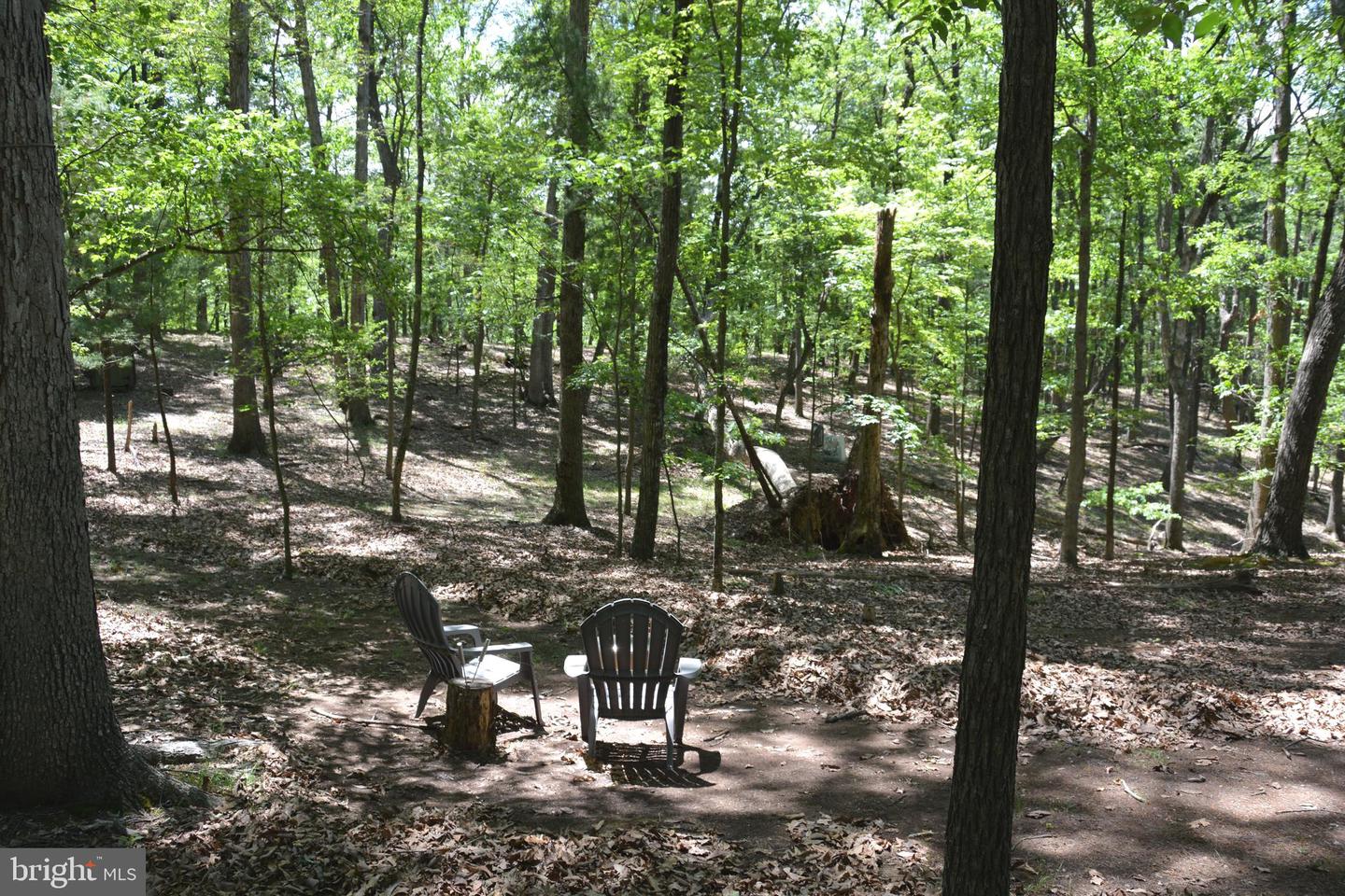 FILES CHAPEL DR, WINCHESTER, Virginia 22603, ,Land,For sale,FILES CHAPEL DR,VAFV2034474 MLS # VAFV2034474