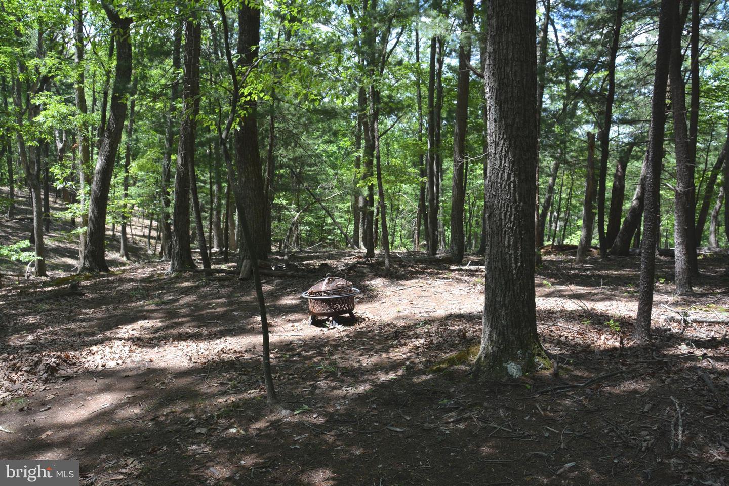 FILES CHAPEL DR, WINCHESTER, Virginia 22603, ,Land,For sale,FILES CHAPEL DR,VAFV2034474 MLS # VAFV2034474
