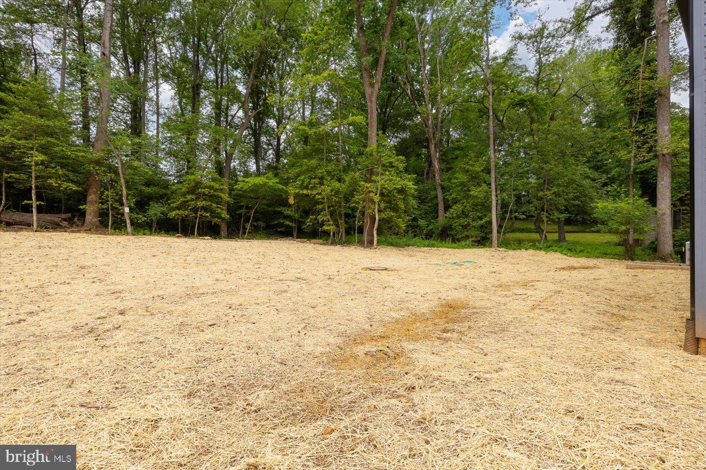12517 WILDERNESS PARK DR, SPOTSYLVANIA, Virginia 22551, 4 Bedrooms Bedrooms, ,2 BathroomsBathrooms,Residential,For sale,12517 WILDERNESS PARK DR,VASP2033124 MLS # VASP2033124