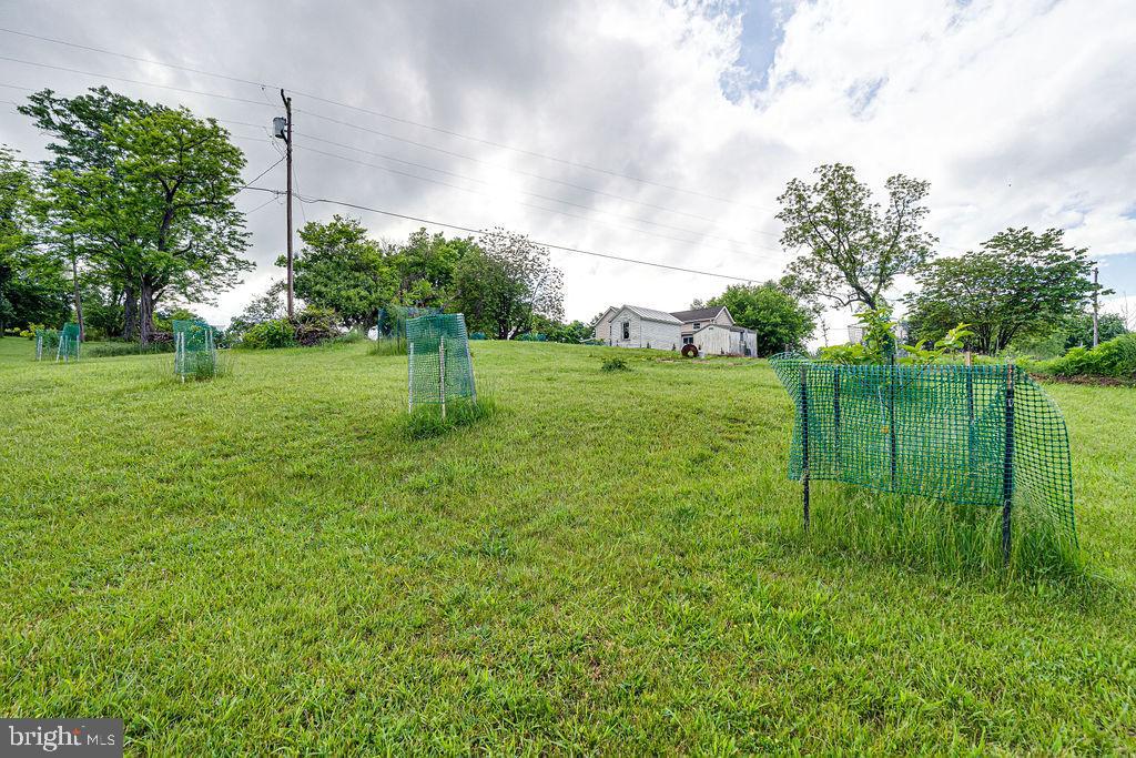 340 ANDREWS RD, STRASBURG, Virginia 22657, 3 Bedrooms Bedrooms, ,1 BathroomBathrooms,Residential,For sale,340 ANDREWS RD,VAWR2011202 MLS # VAWR2011202