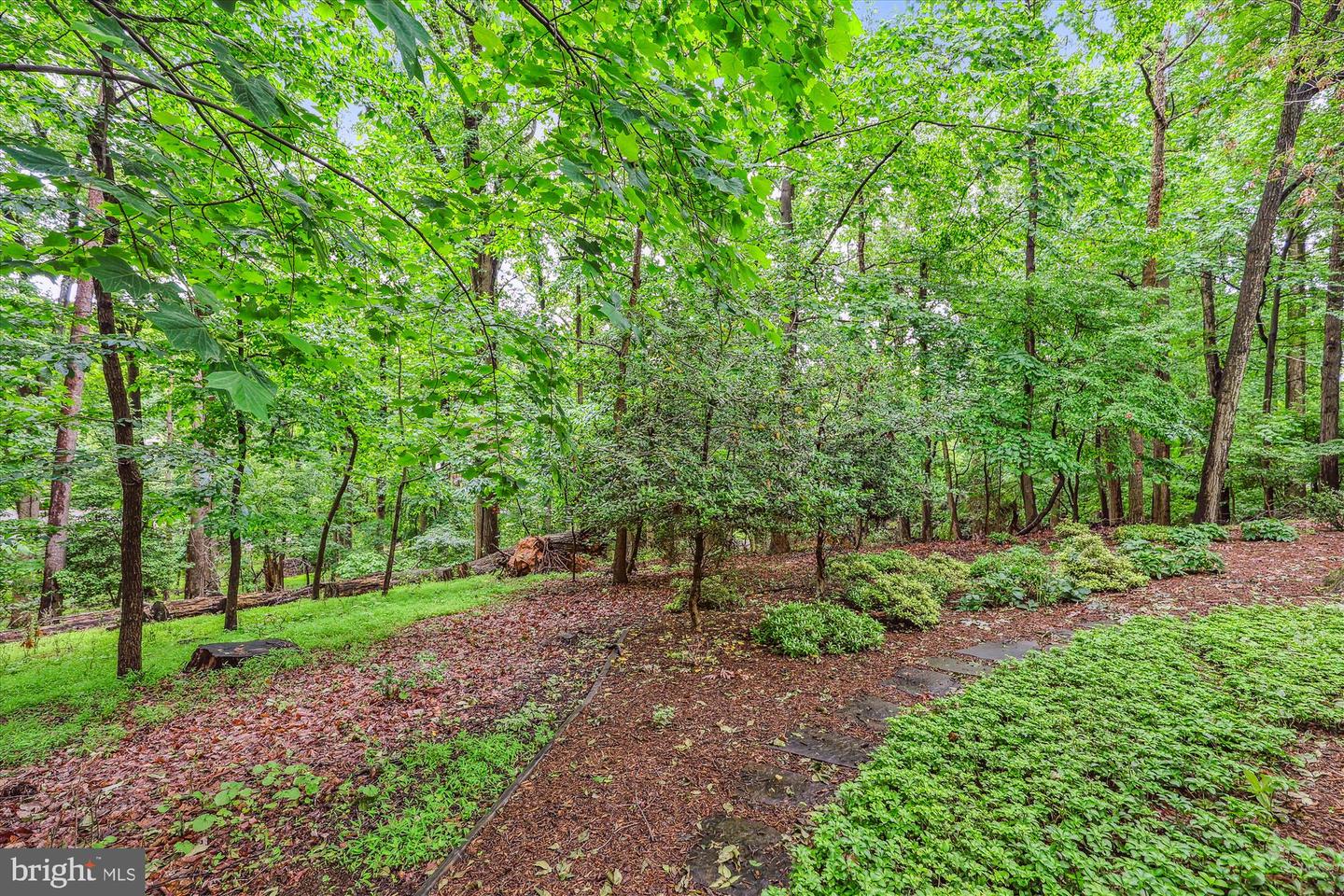 2032 FRANKLIN CLUSTER CT, FALLS CHURCH, Virginia 22043, 4 Bedrooms Bedrooms, ,3 BathroomsBathrooms,Residential,For sale,2032 FRANKLIN CLUSTER CT,VAFX2241916 MLS # VAFX2241916