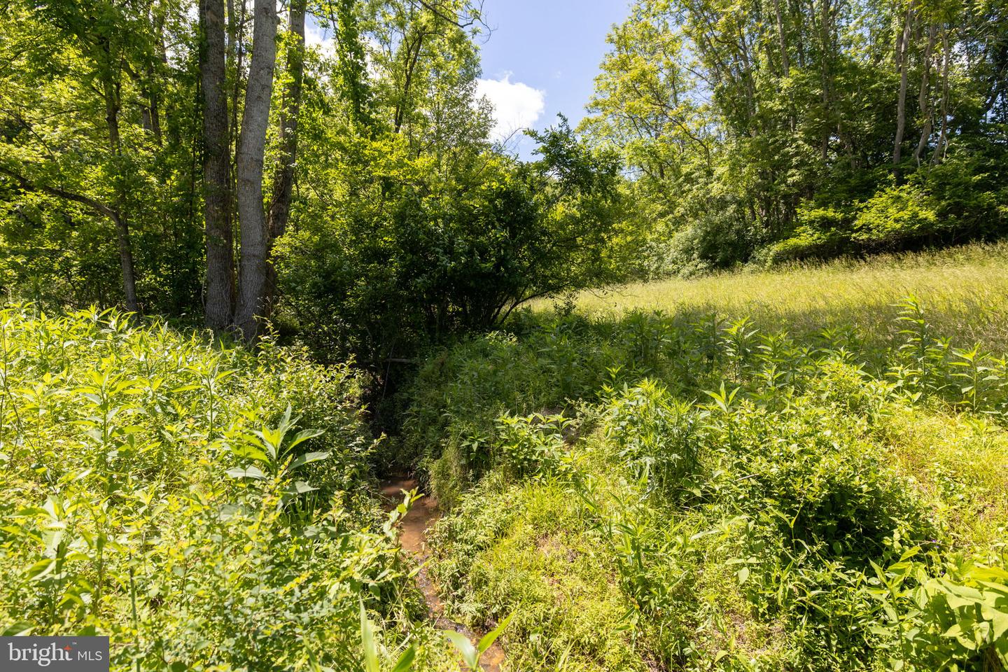 00 PUPPY CREEK RD, AMHERST, Virginia 24521, ,Farm,For sale,00 PUPPY CREEK RD,VAAH2000070 MLS # VAAH2000070