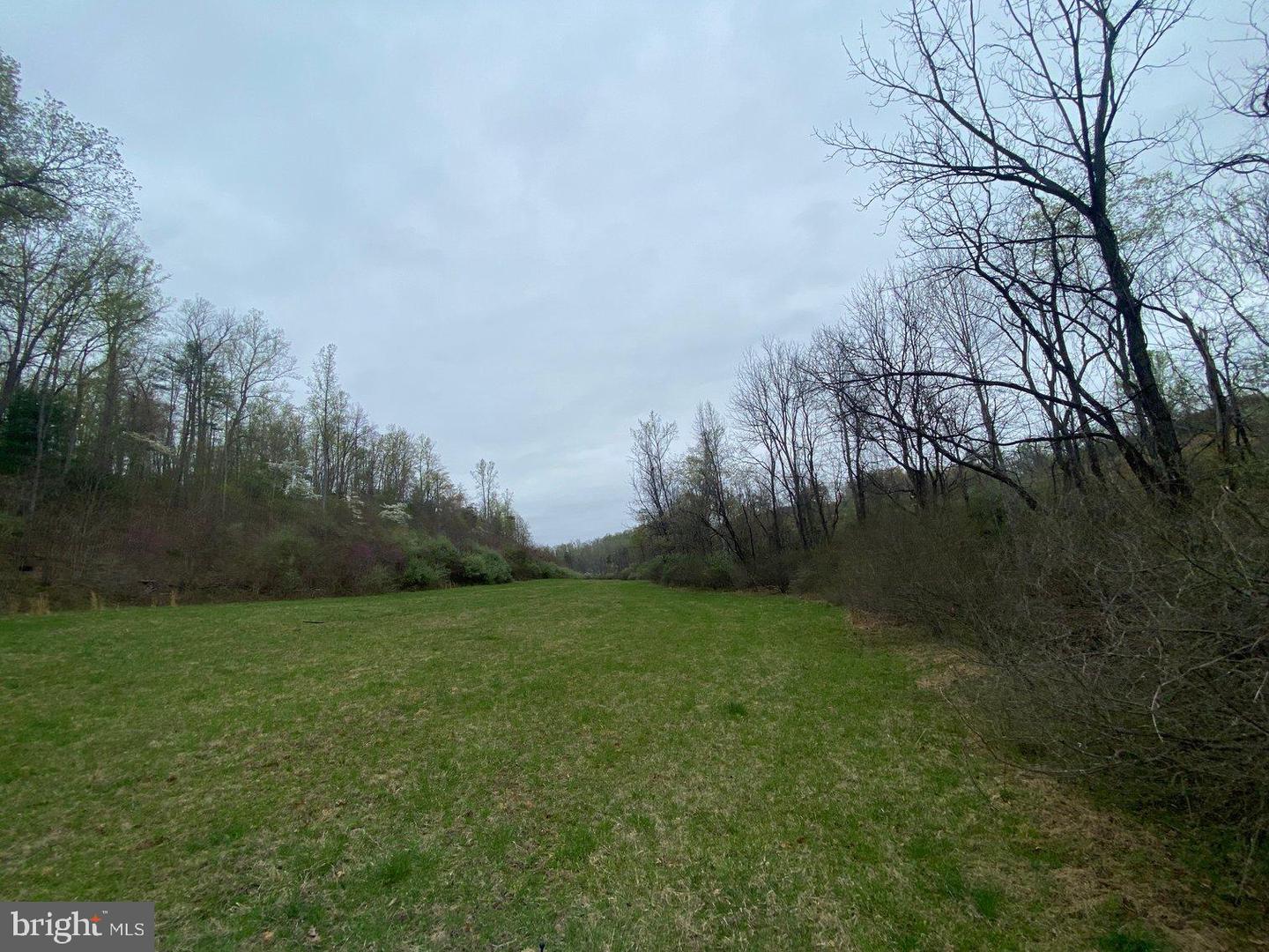 00 PUPPY CREEK RD, AMHERST, Virginia 24521, ,Farm,For sale,00 PUPPY CREEK RD,VAAH2000070 MLS # VAAH2000070