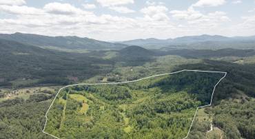 00 PUPPY CREEK RD, AMHERST, Virginia 24521, ,Farm,For sale,00 PUPPY CREEK RD,VAAH2000070 MLS # VAAH2000070