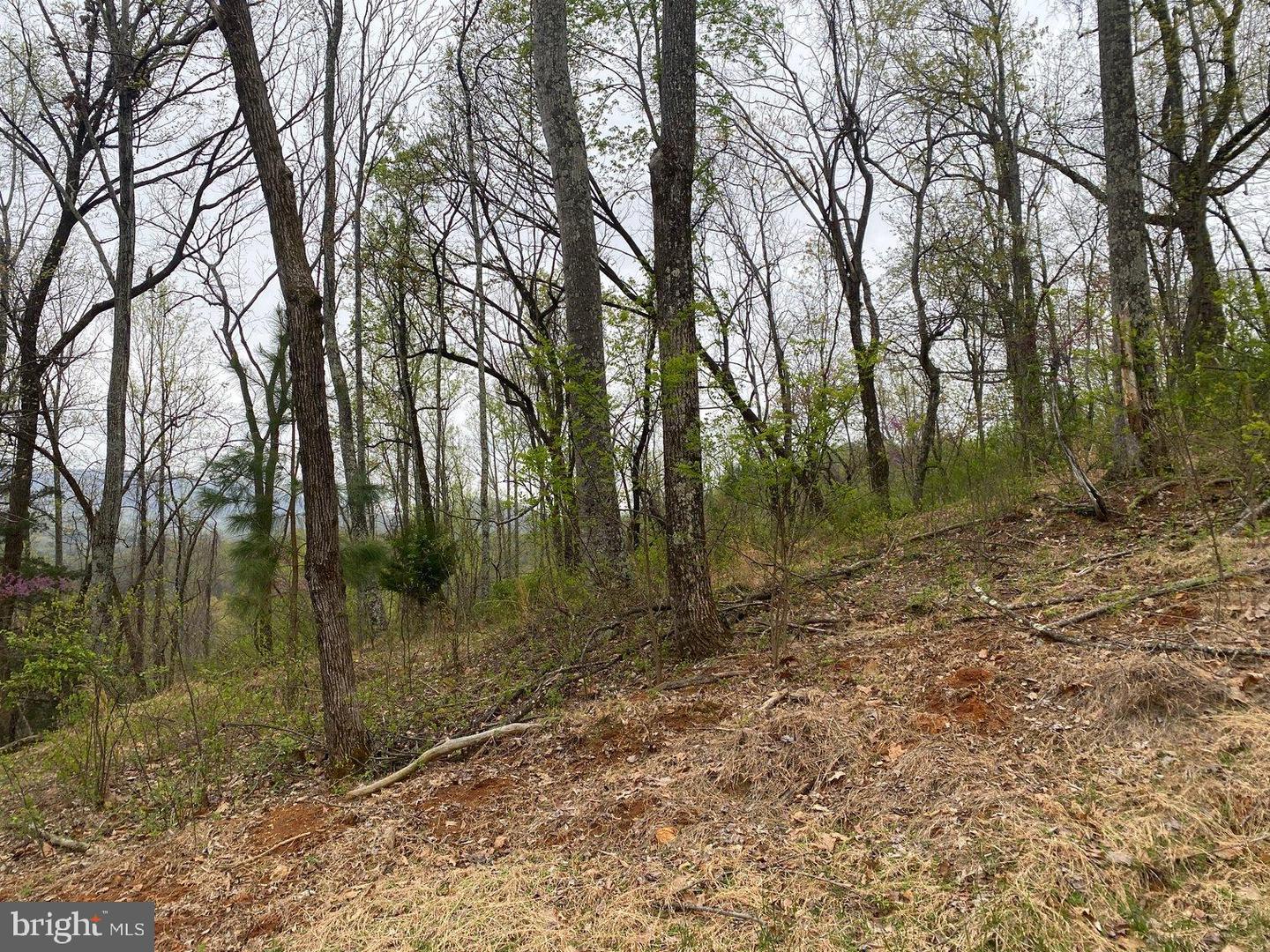 0 KERSEY RD, AMHERST, Virginia 24521, ,Land,For sale,0 KERSEY RD,VAAH2000072 MLS # VAAH2000072