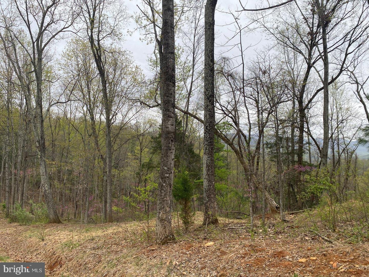 0 KERSEY RD, AMHERST, Virginia 24521, ,Land,For sale,0 KERSEY RD,VAAH2000072 MLS # VAAH2000072